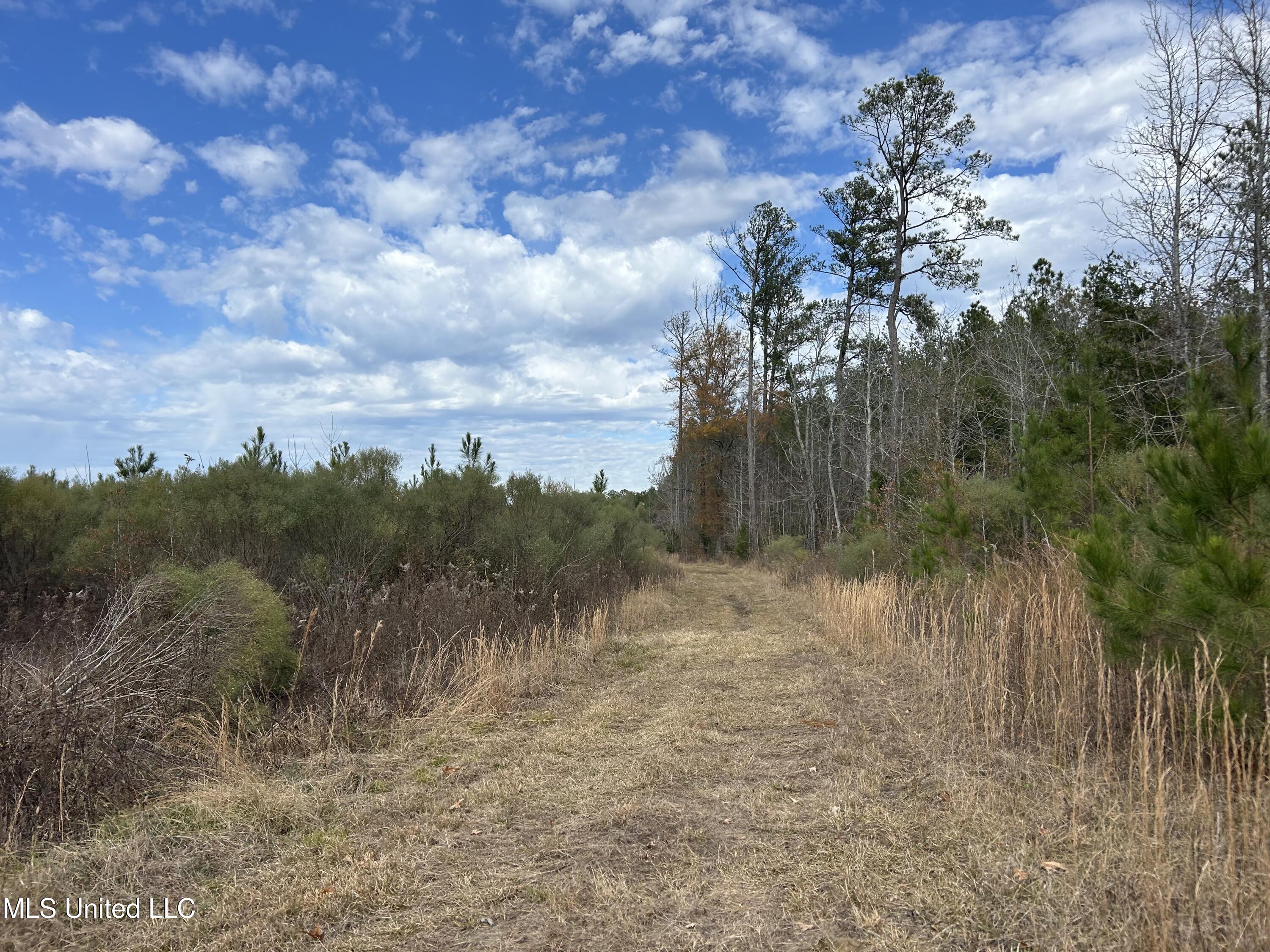 Coal Bluff Road Property Photo 60