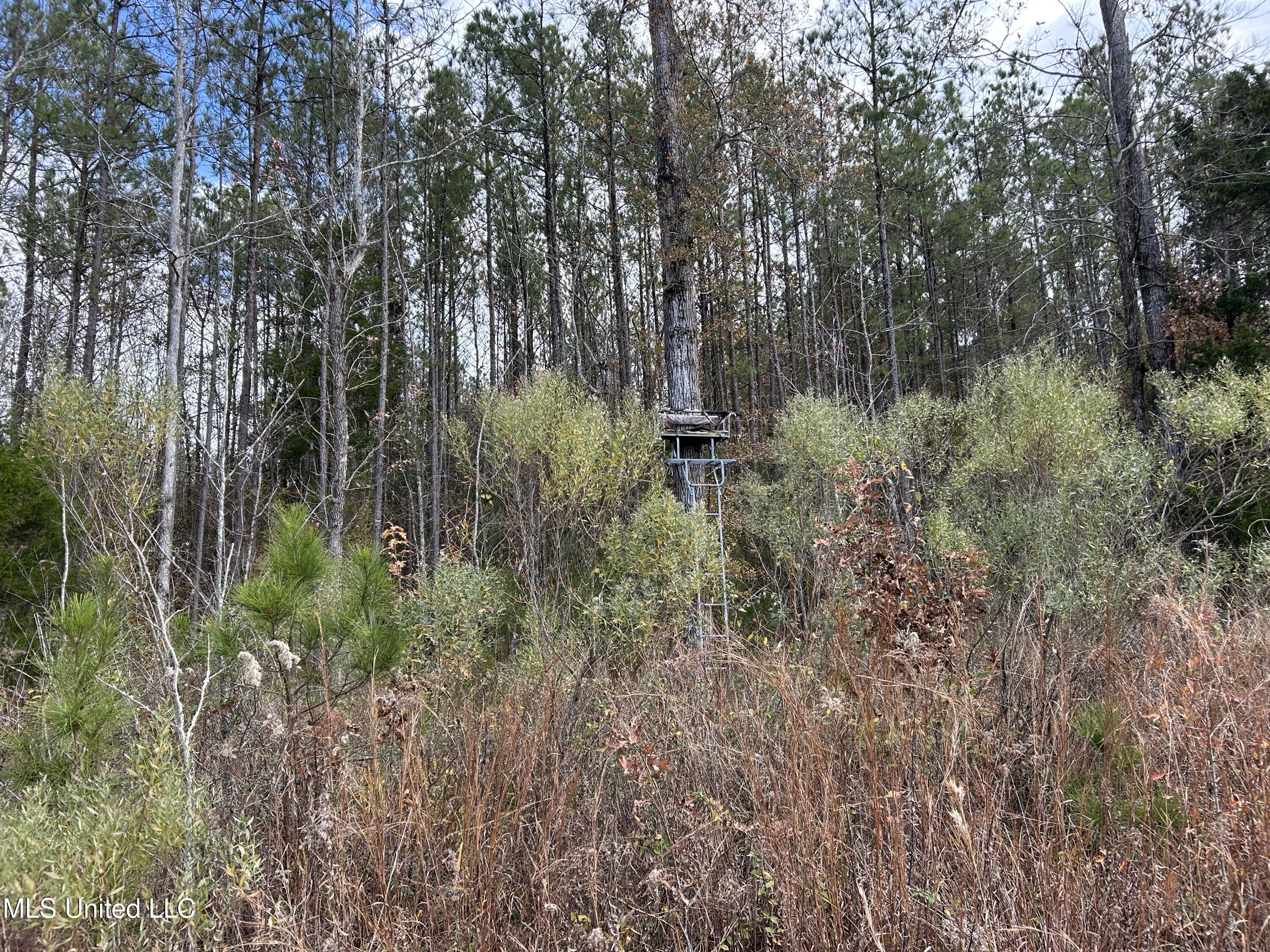 Coal Bluff Road Property Photo 61