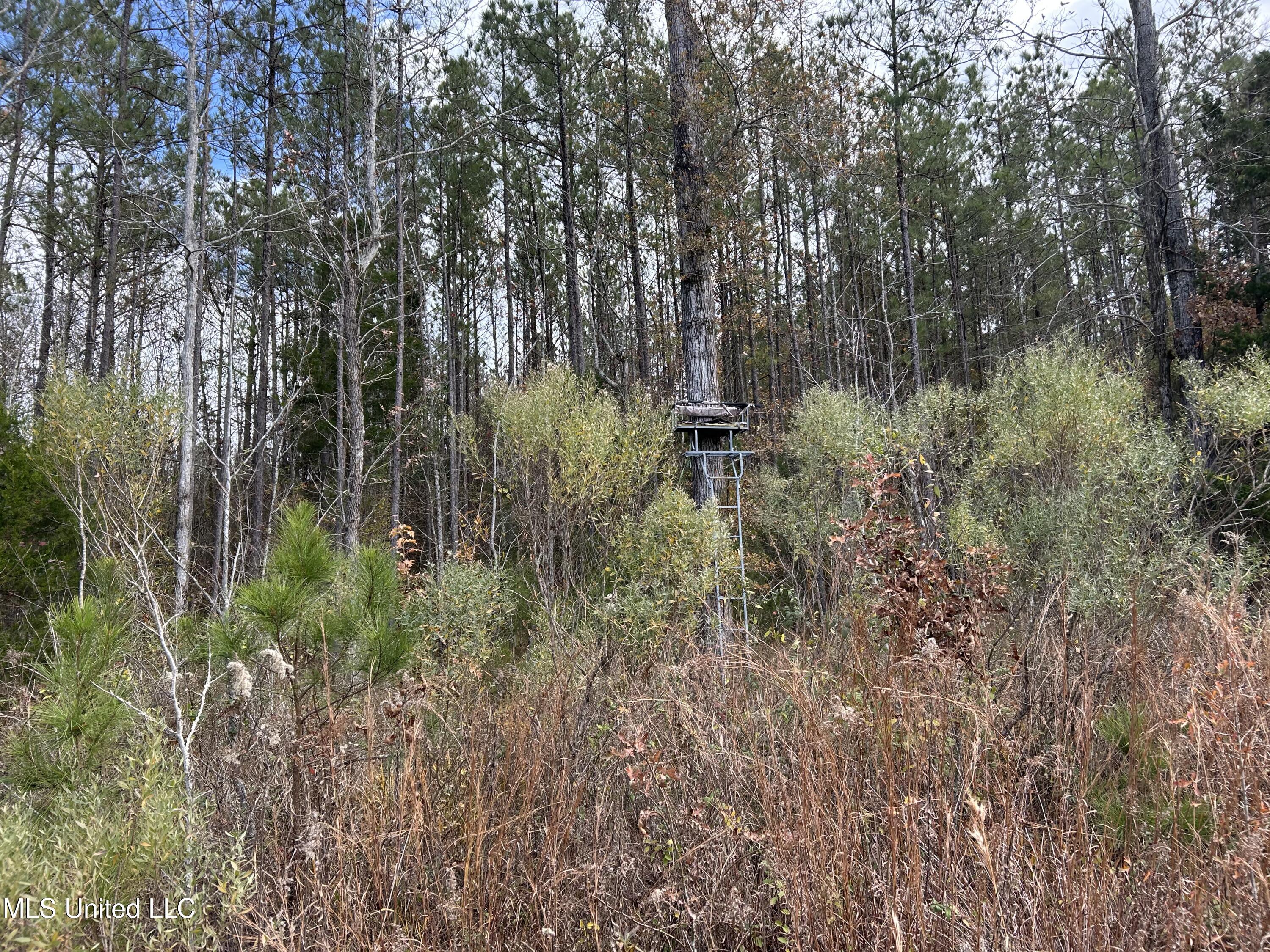 Coal Bluff Road Property Photo 62