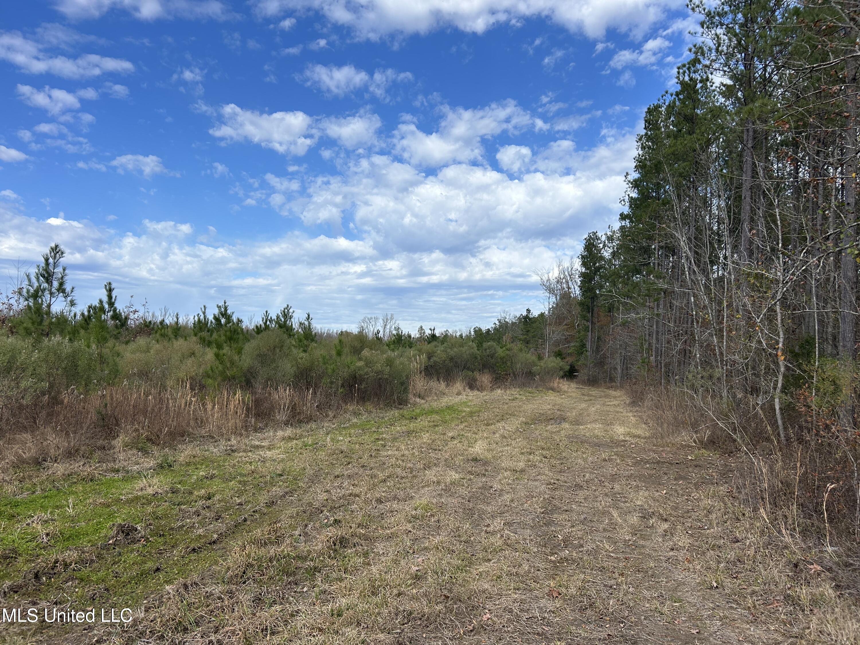 Coal Bluff Road Property Photo 63