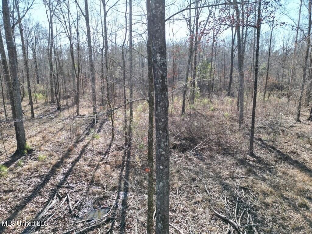 9307a Ms 28 Property Photo 2