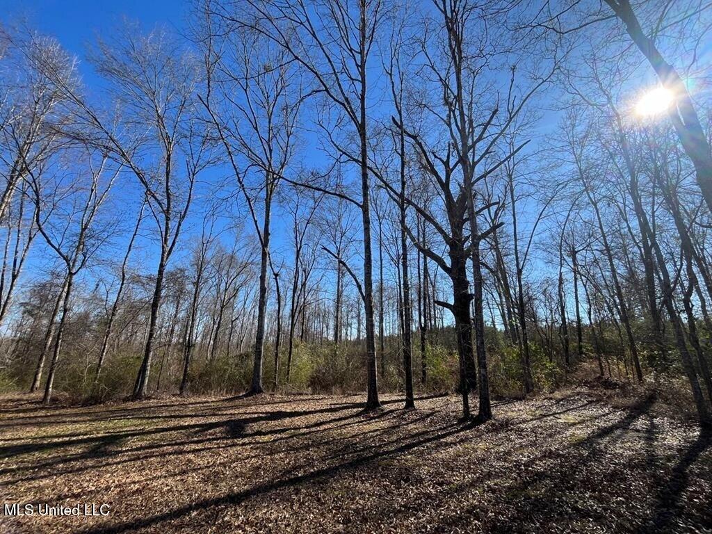 9307a Ms 28 Property Photo 32
