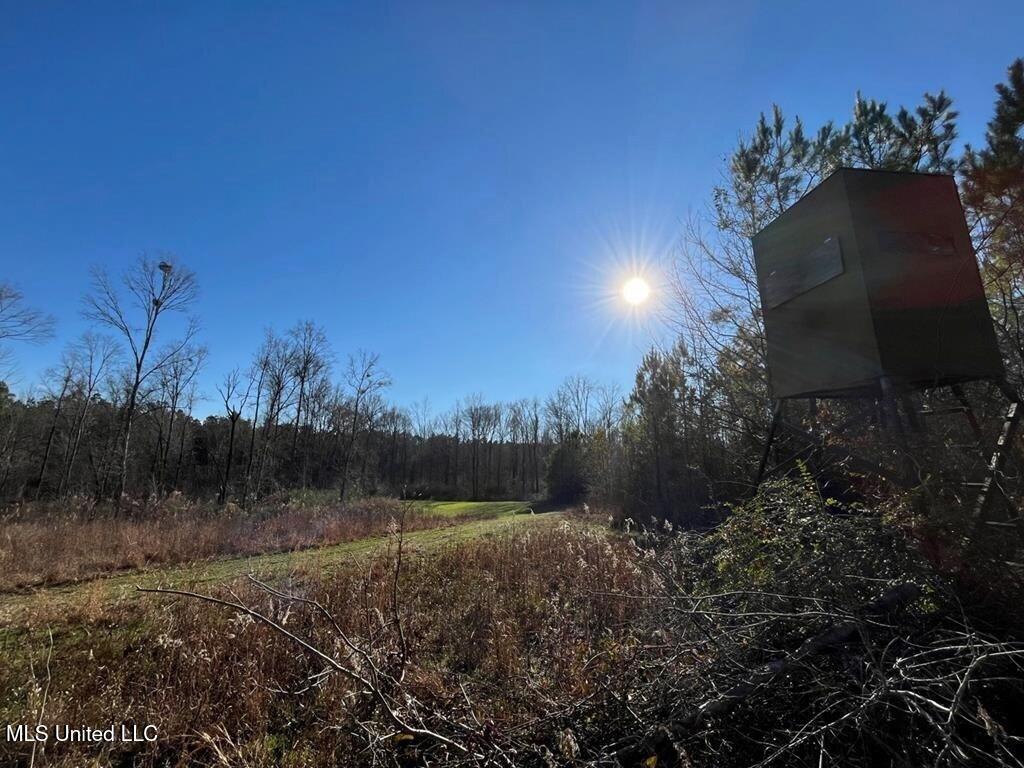 9307a Ms 28 Property Photo 34