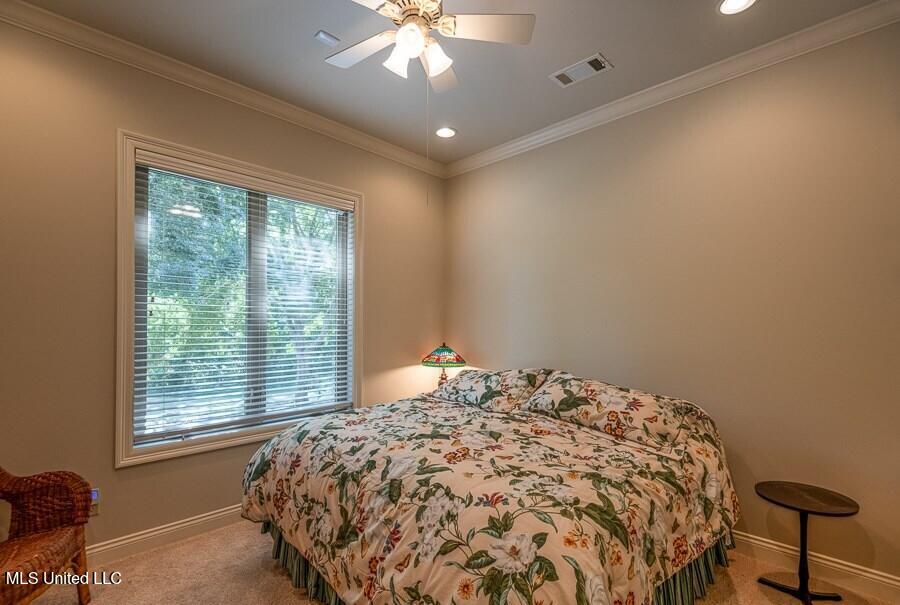 21 Bluff Hills Place Property Photo 6