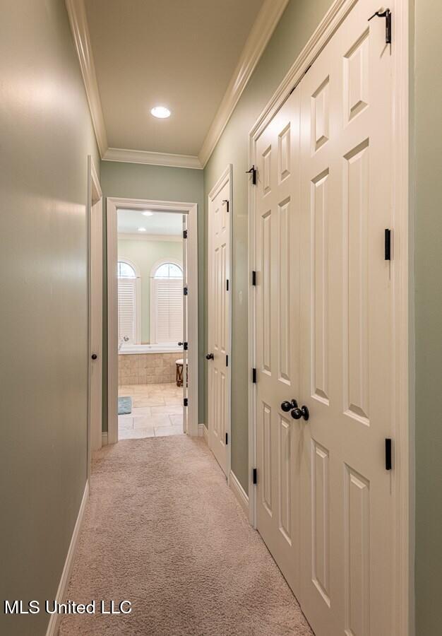 21 Bluff Hills Place Property Photo 11