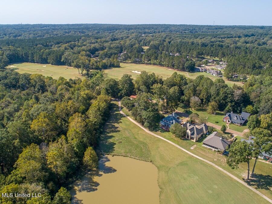 21 Bluff Hills Place Property Photo 24