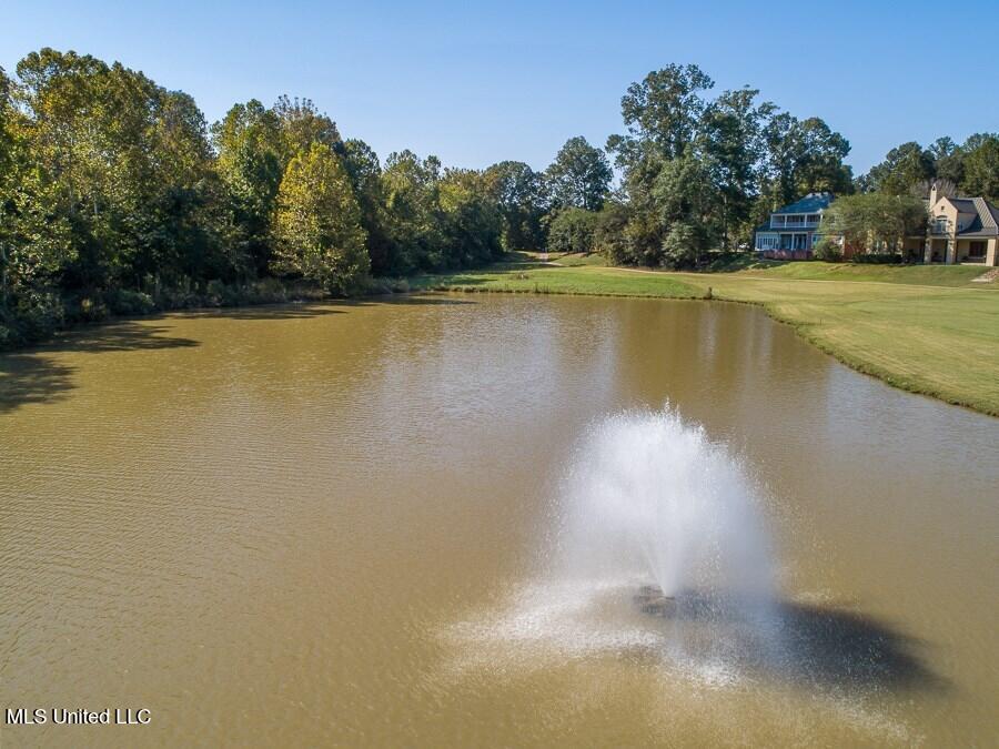 21 Bluff Hills Place Property Photo 25