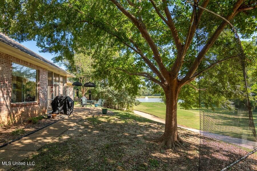 21 Bluff Hills Place Property Photo 34