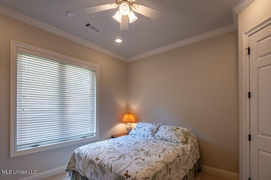 21 Bluff Hills Place Property Photo 54