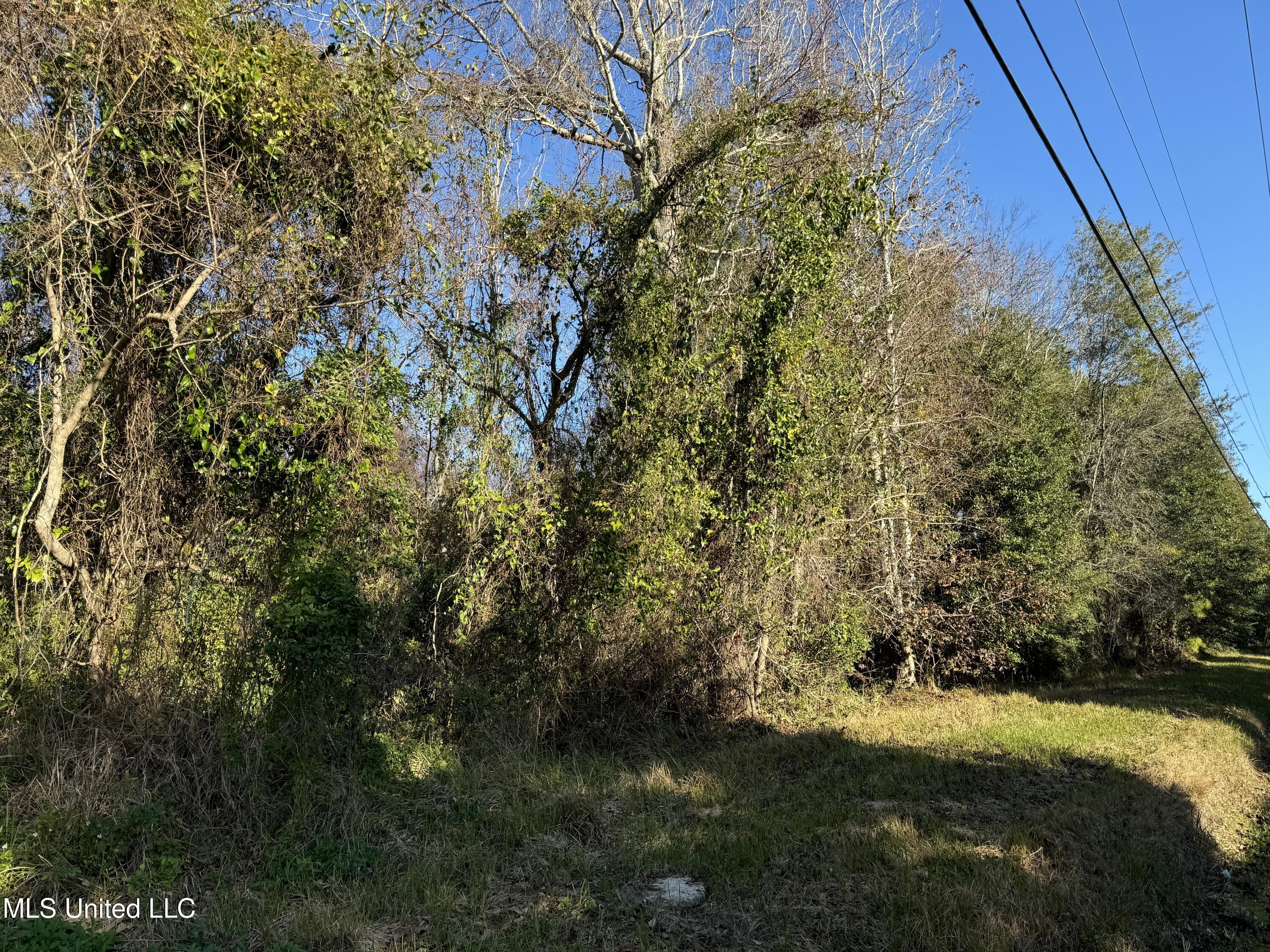 Seacliff Boulevard Property Photo 1