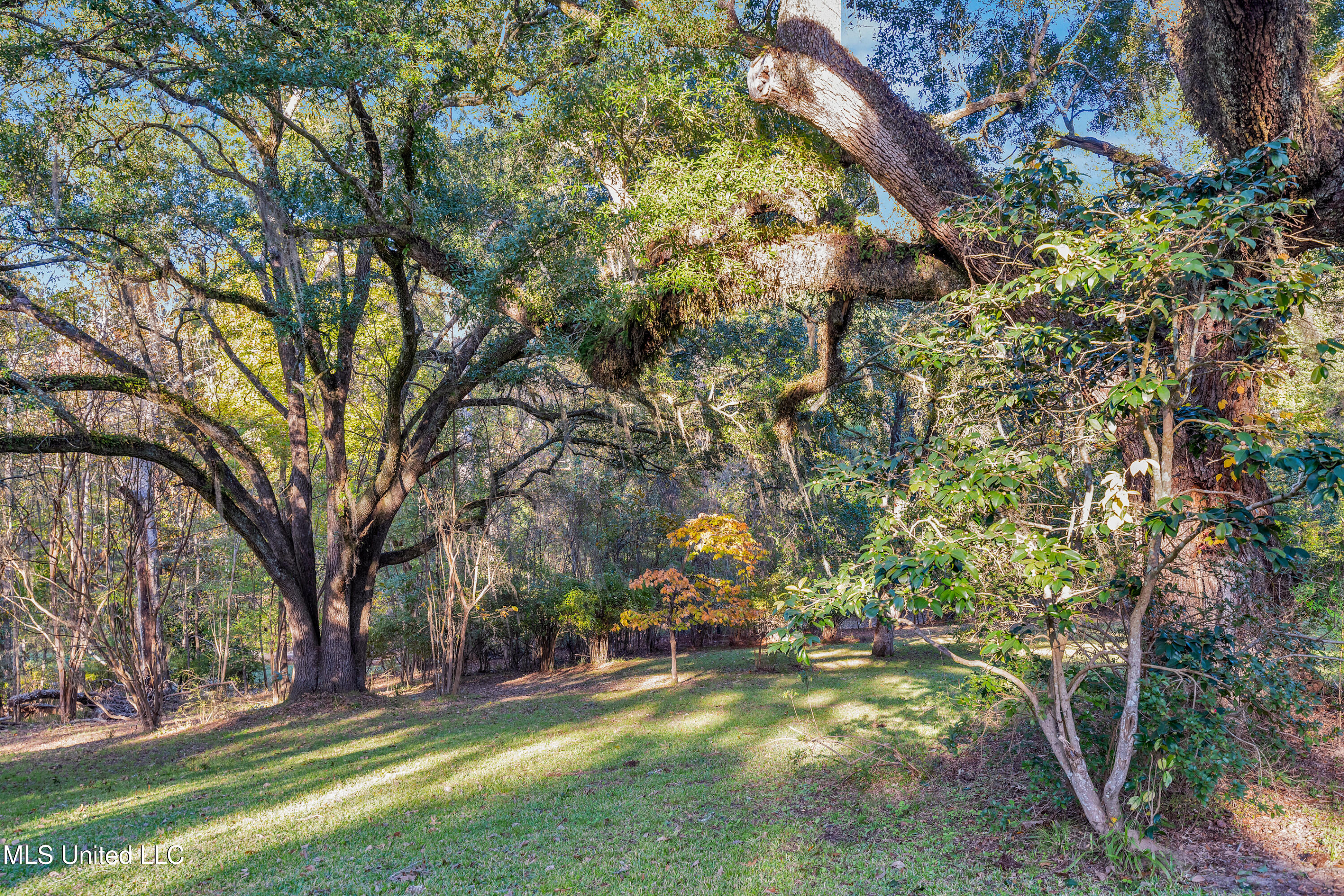 109 Carmel Church Road Property Photo 7