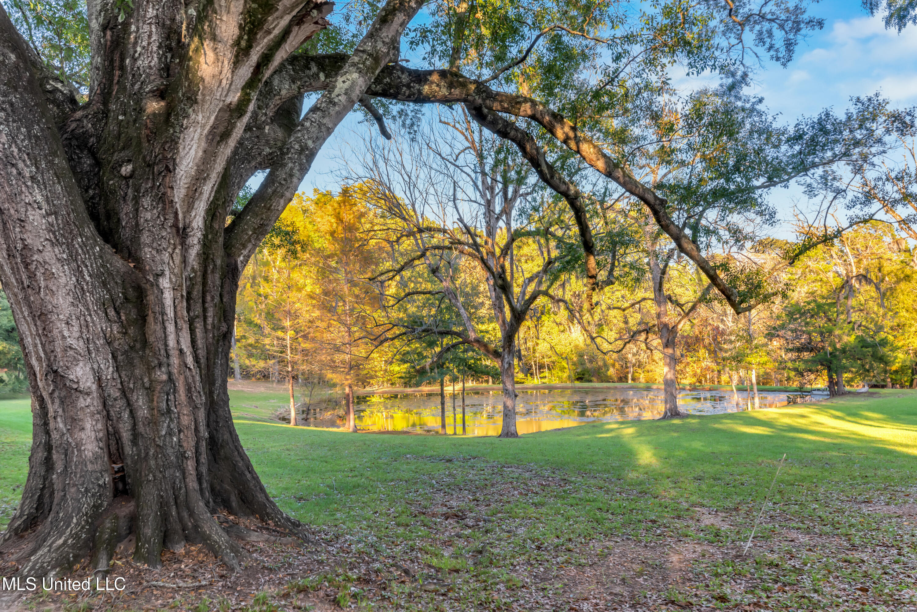 109 Carmel Church Road Property Photo 53
