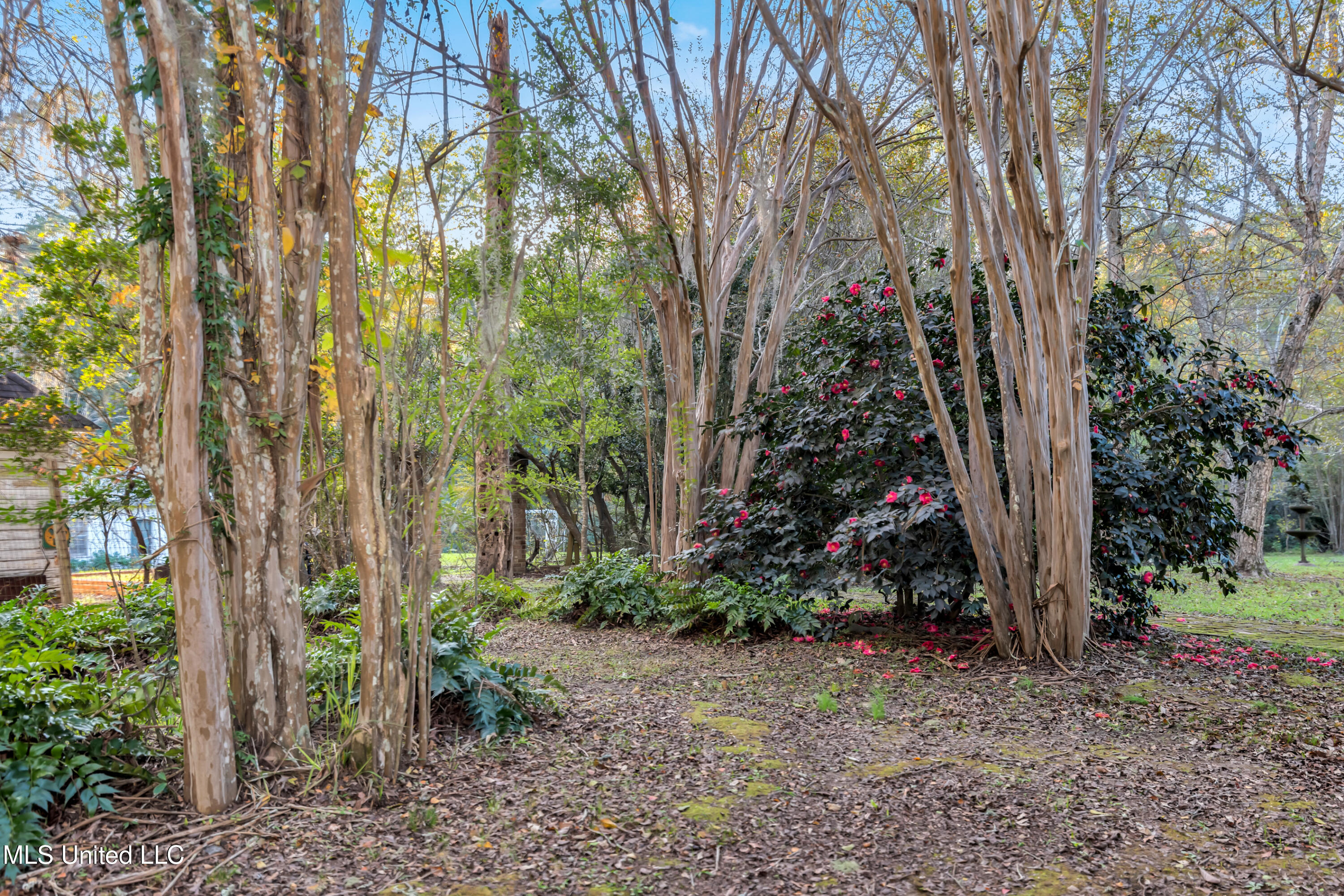 109 Carmel Church Road Property Photo 58