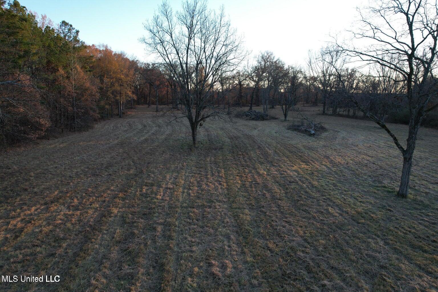 2001 W Oak Grove Road Property Photo 2