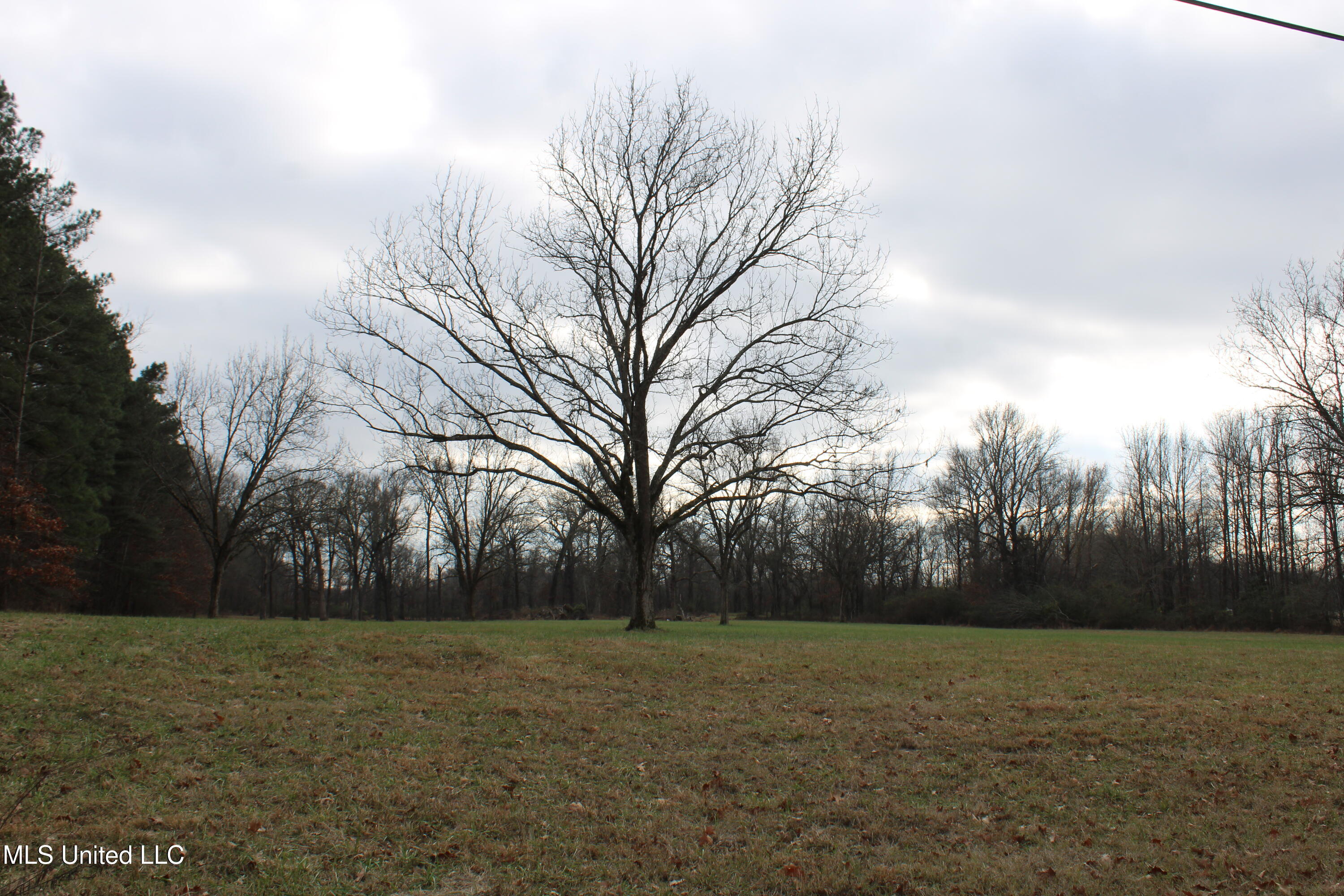 2001 W Oak Grove Road Property Photo 5