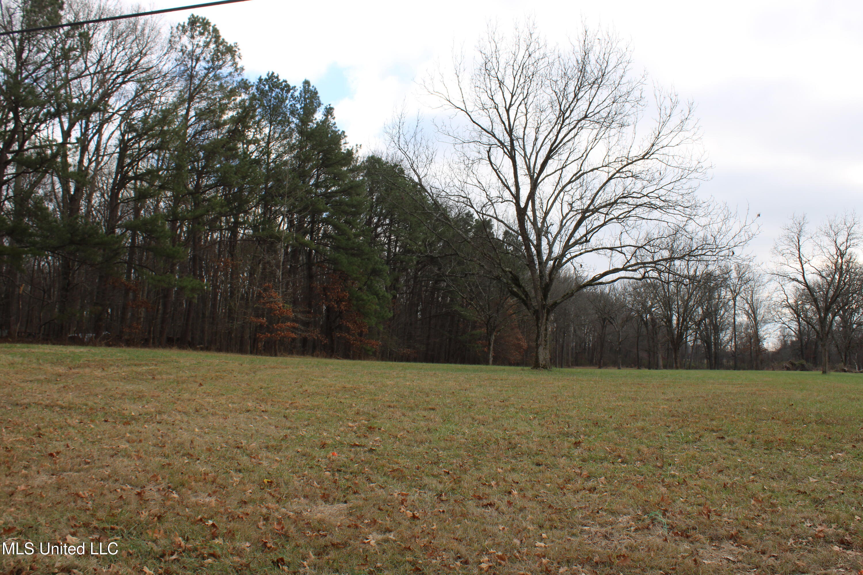 2001 W Oak Grove Road Property Photo 6