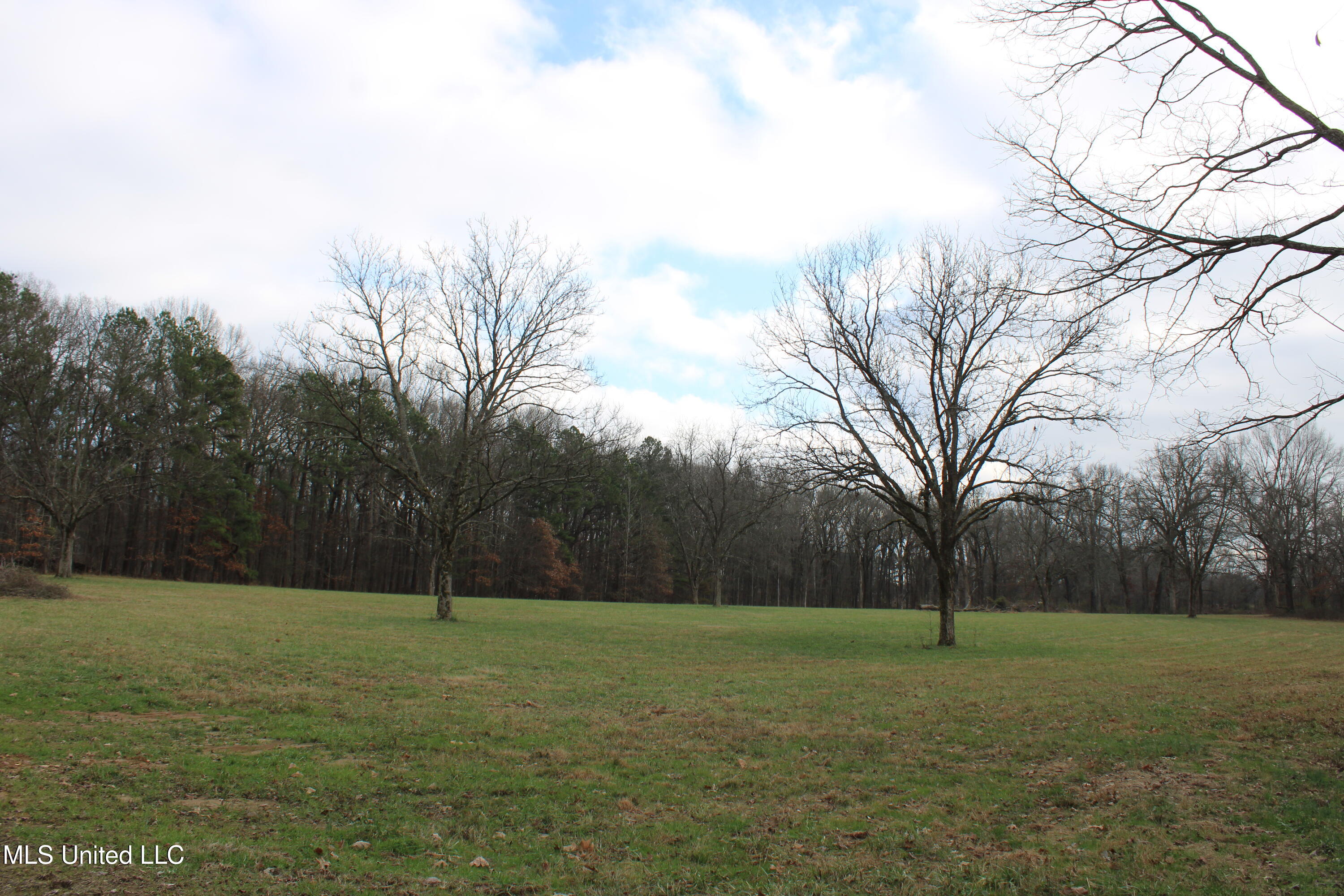 2001 W Oak Grove Road Property Photo 8