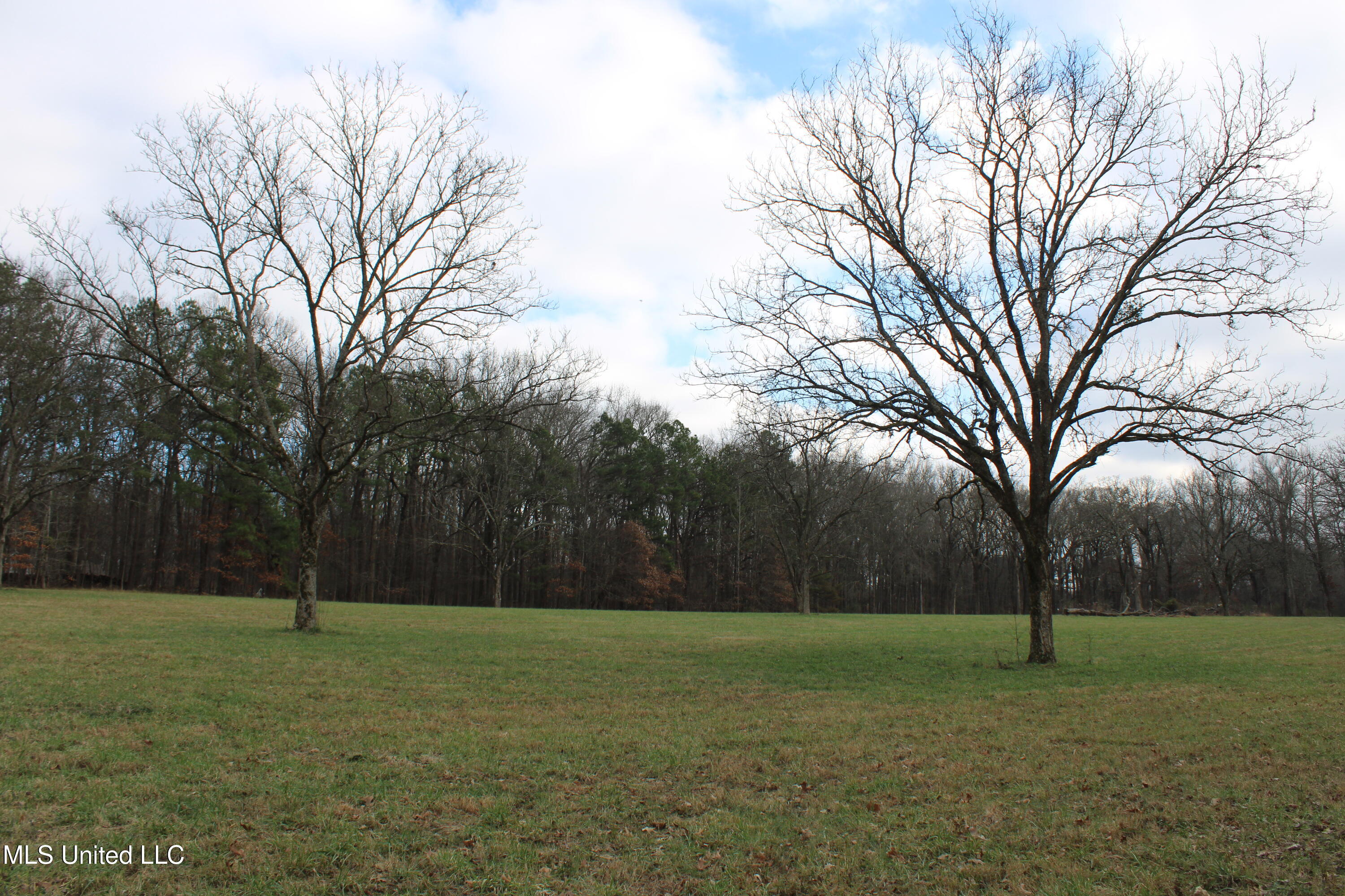 2001 W Oak Grove Road Property Photo 9