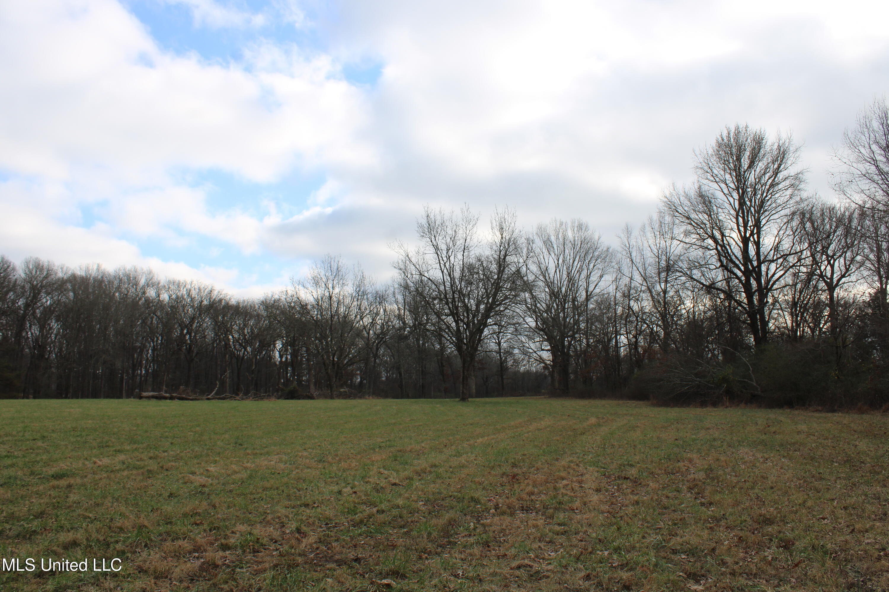 2001 W Oak Grove Road Property Photo 11