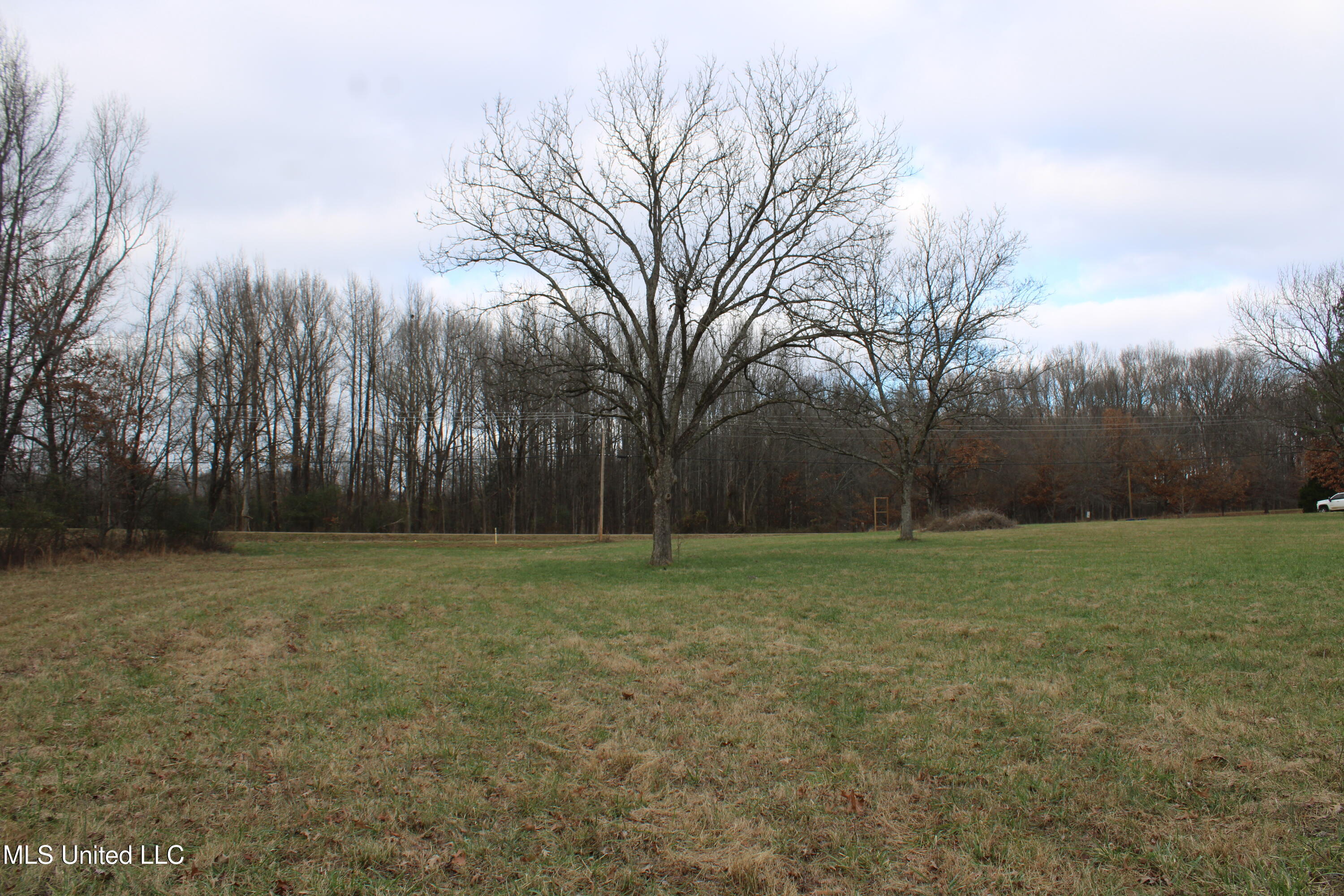 2001 W Oak Grove Road Property Photo 12