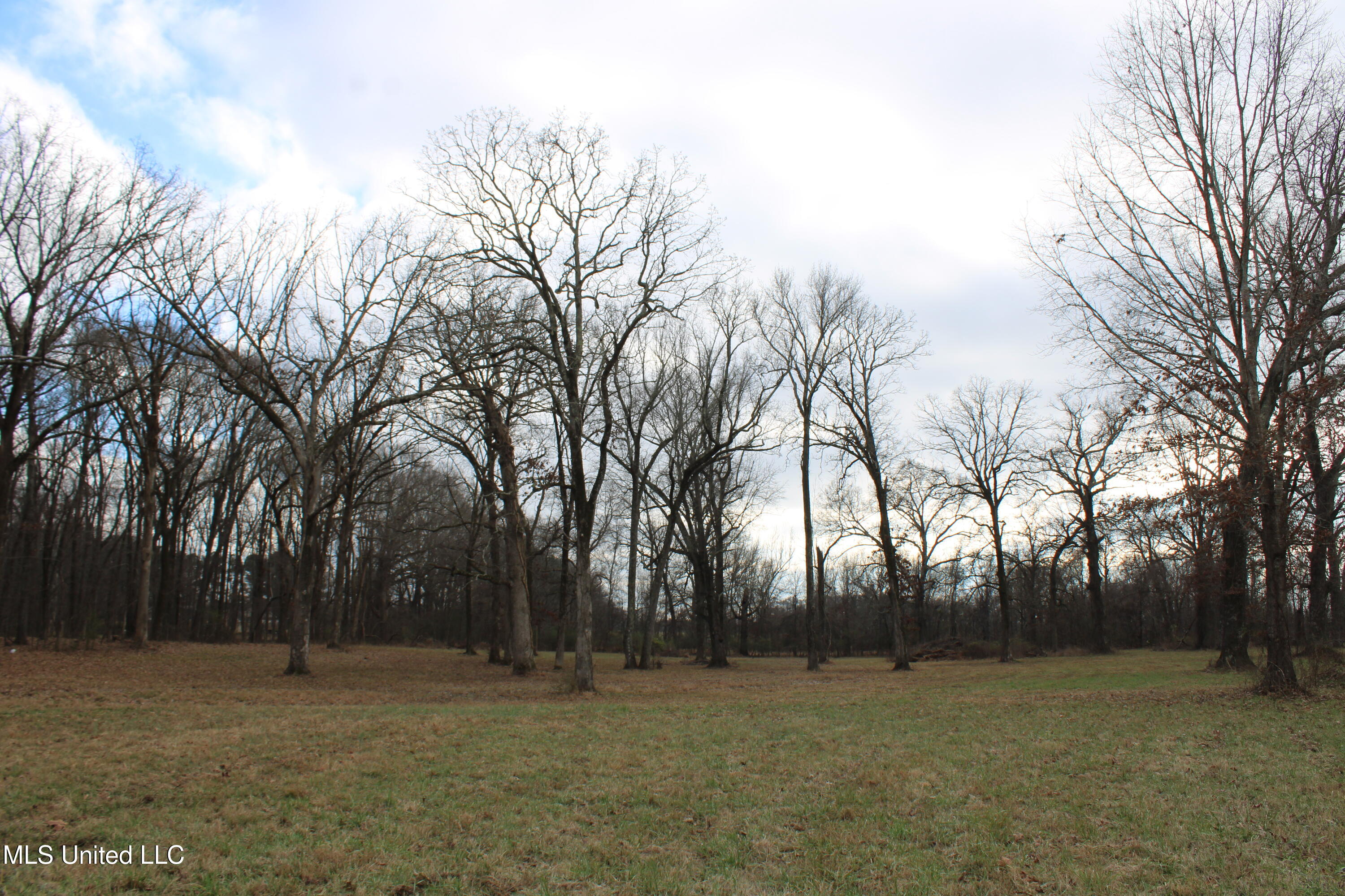 2001 W Oak Grove Road Property Photo 14