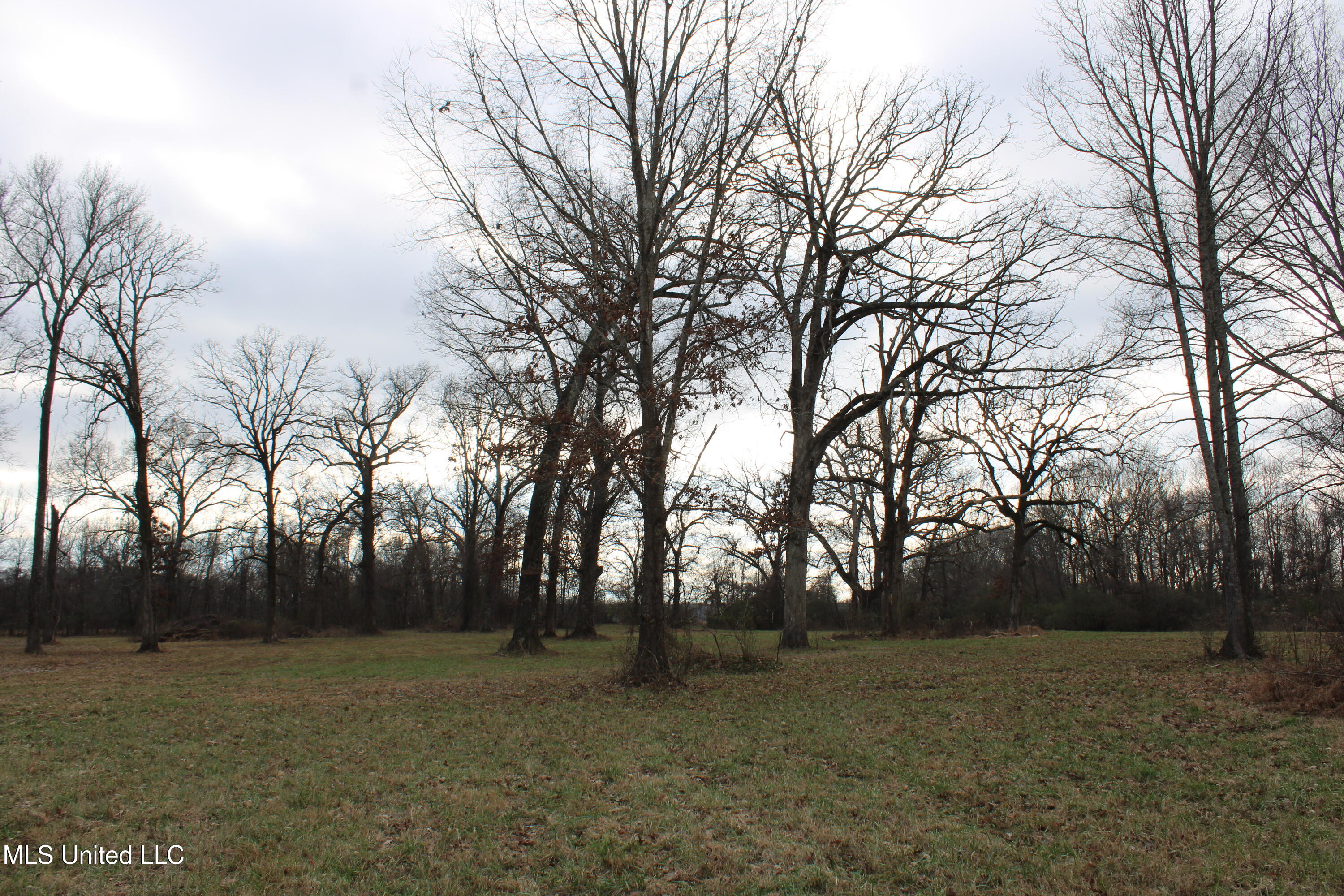 2001 W Oak Grove Road Property Photo 15