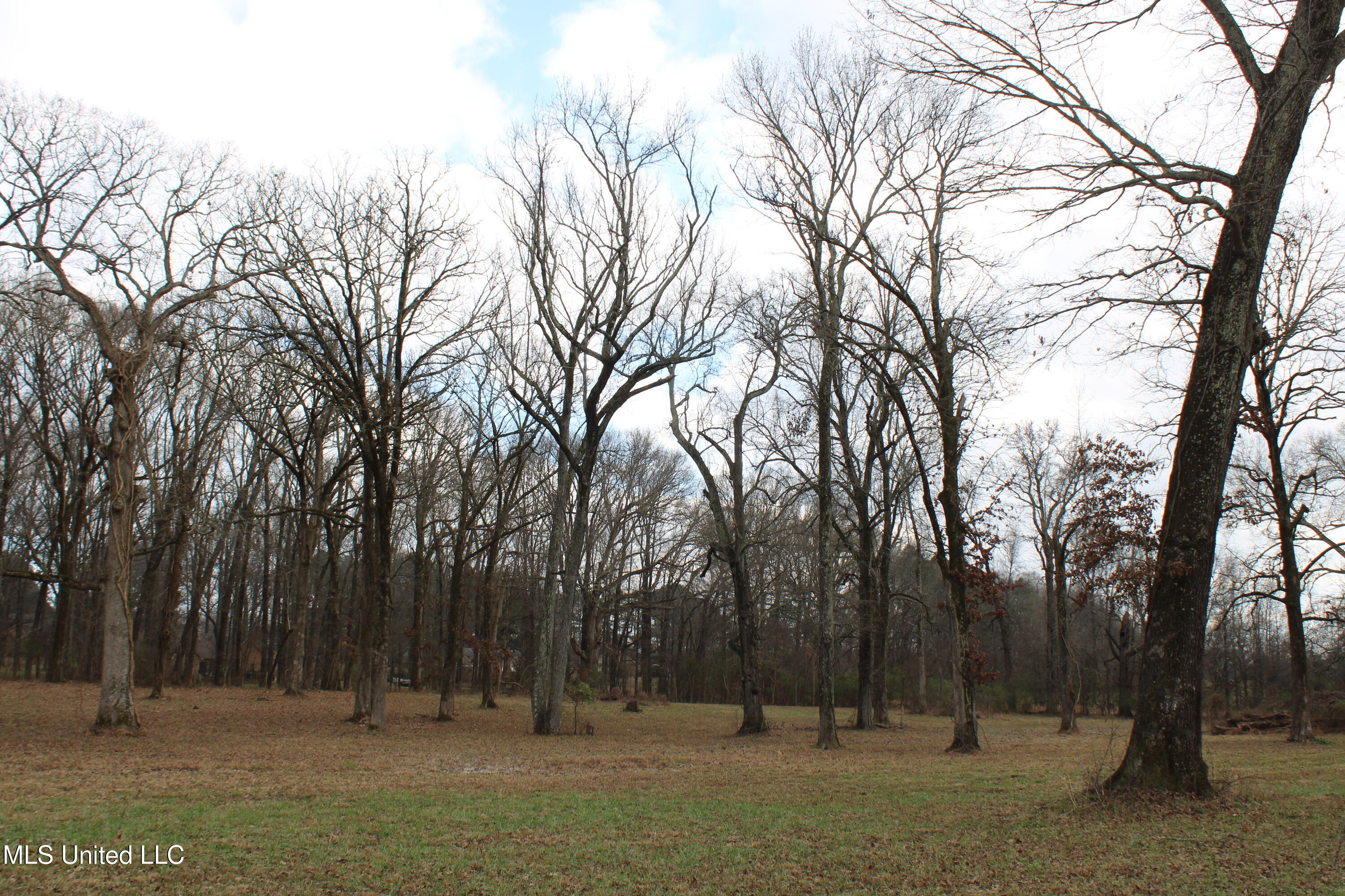 2001 W Oak Grove Road Property Photo 16