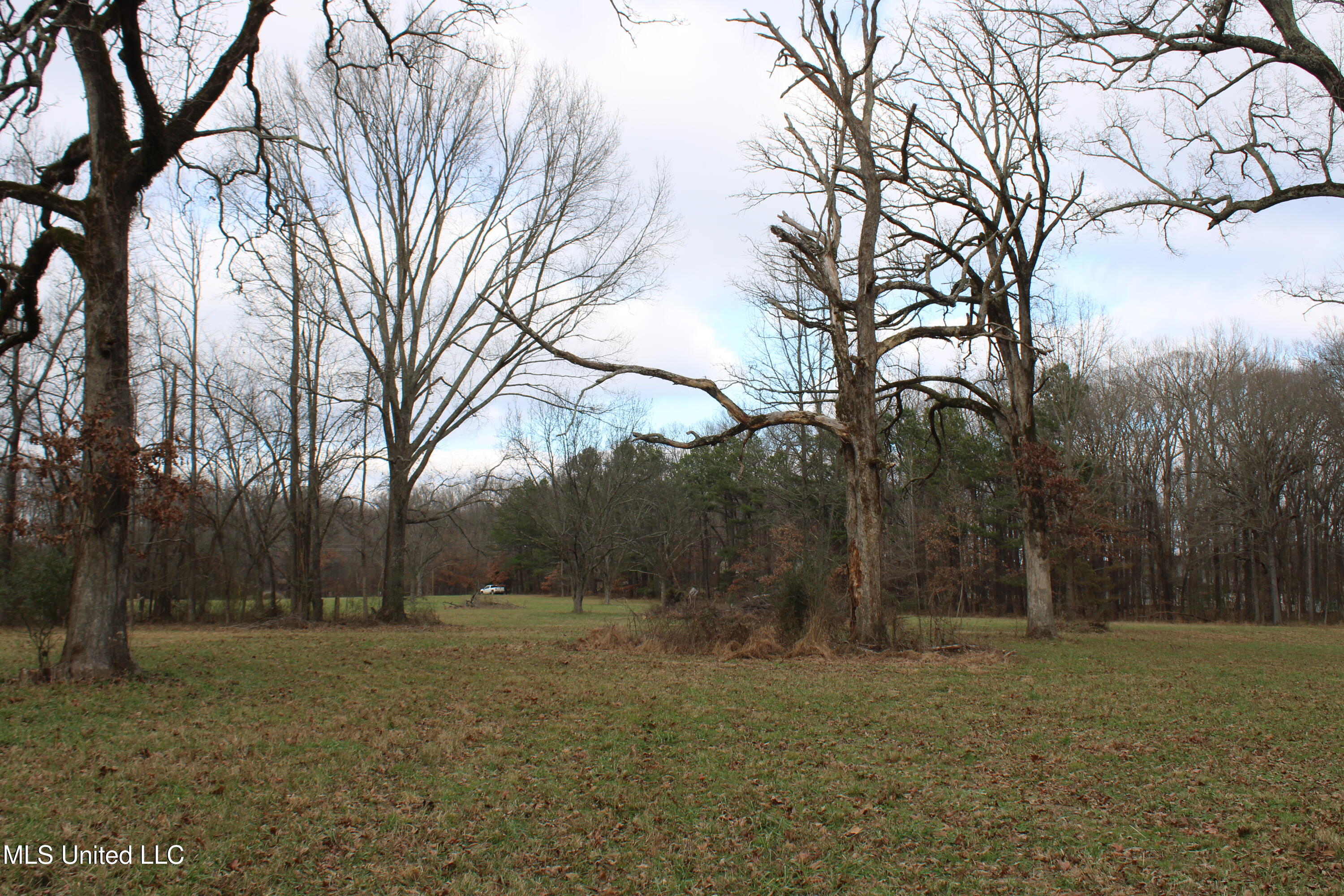 2001 W Oak Grove Road Property Photo 20