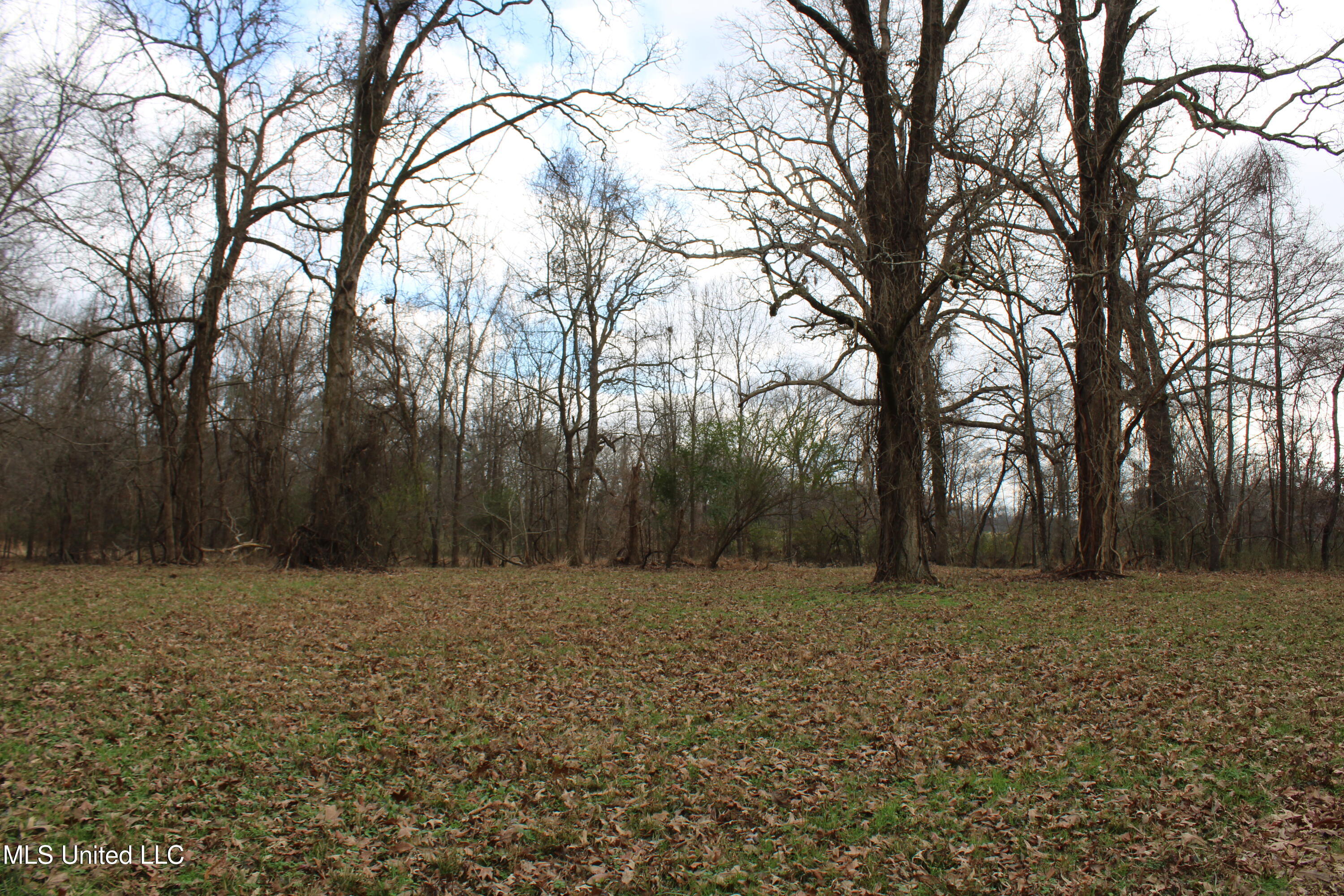 2001 W Oak Grove Road Property Photo 21