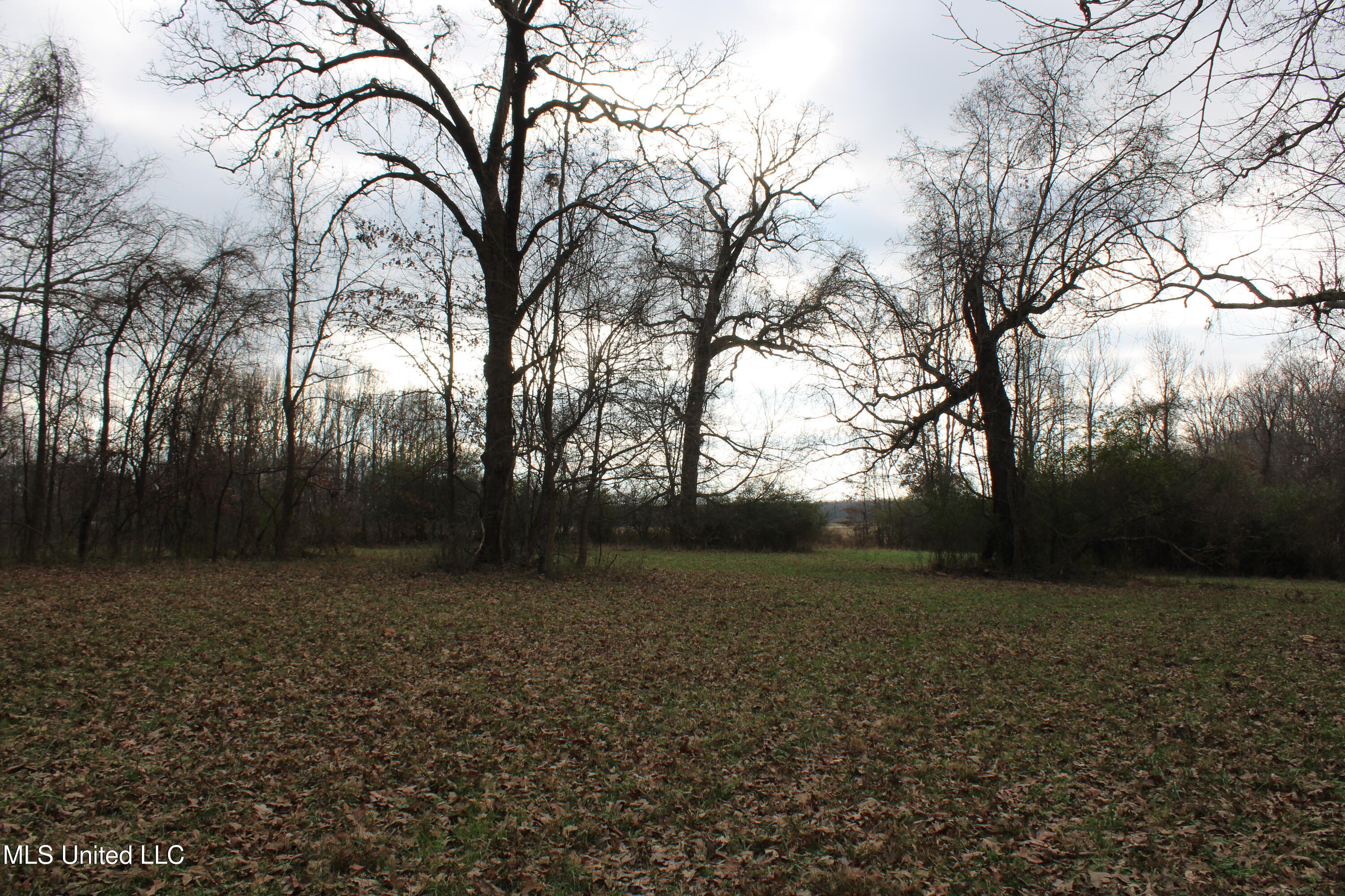 2001 W Oak Grove Road Property Photo 22