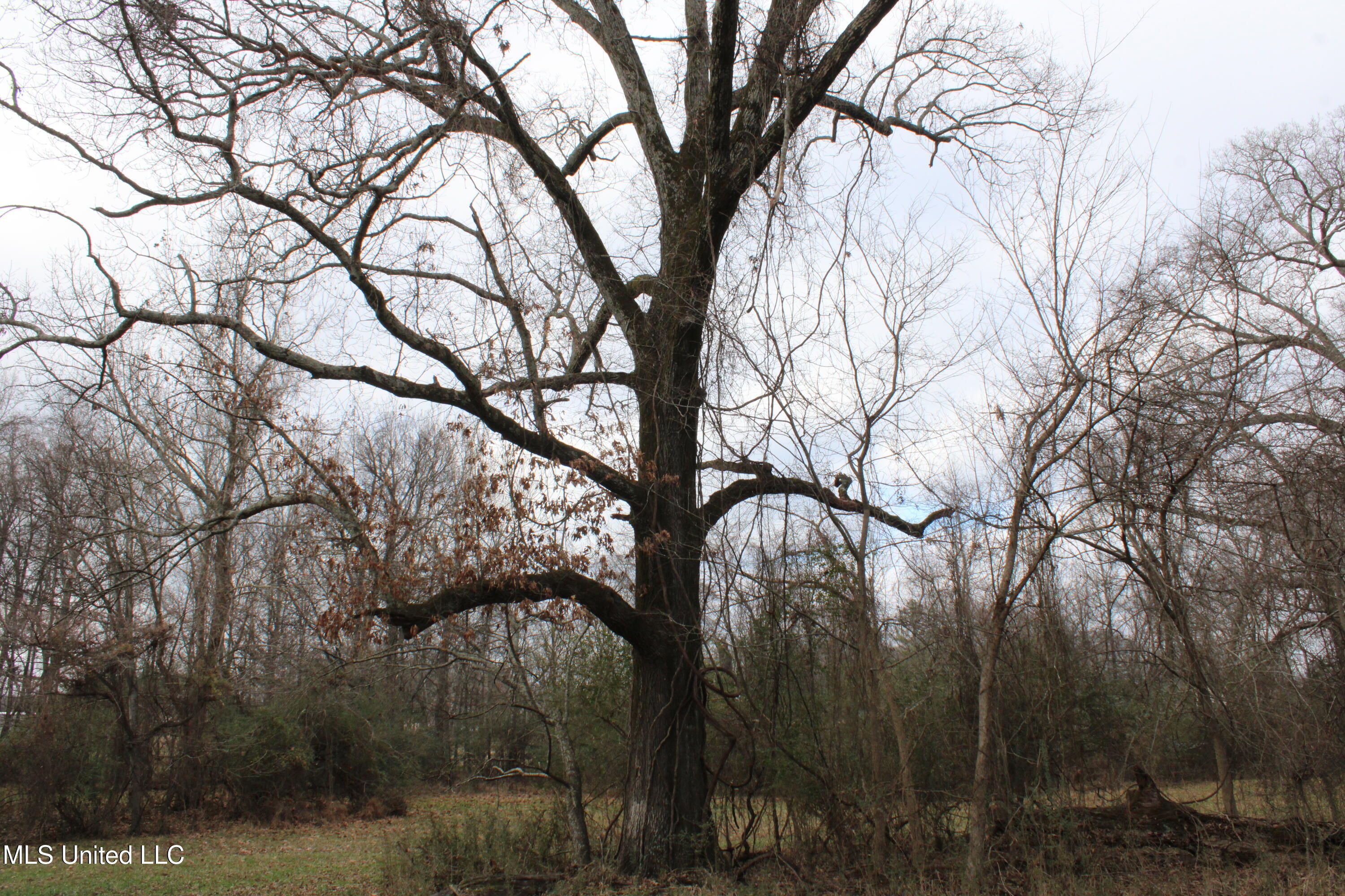2001 W Oak Grove Road Property Photo 24