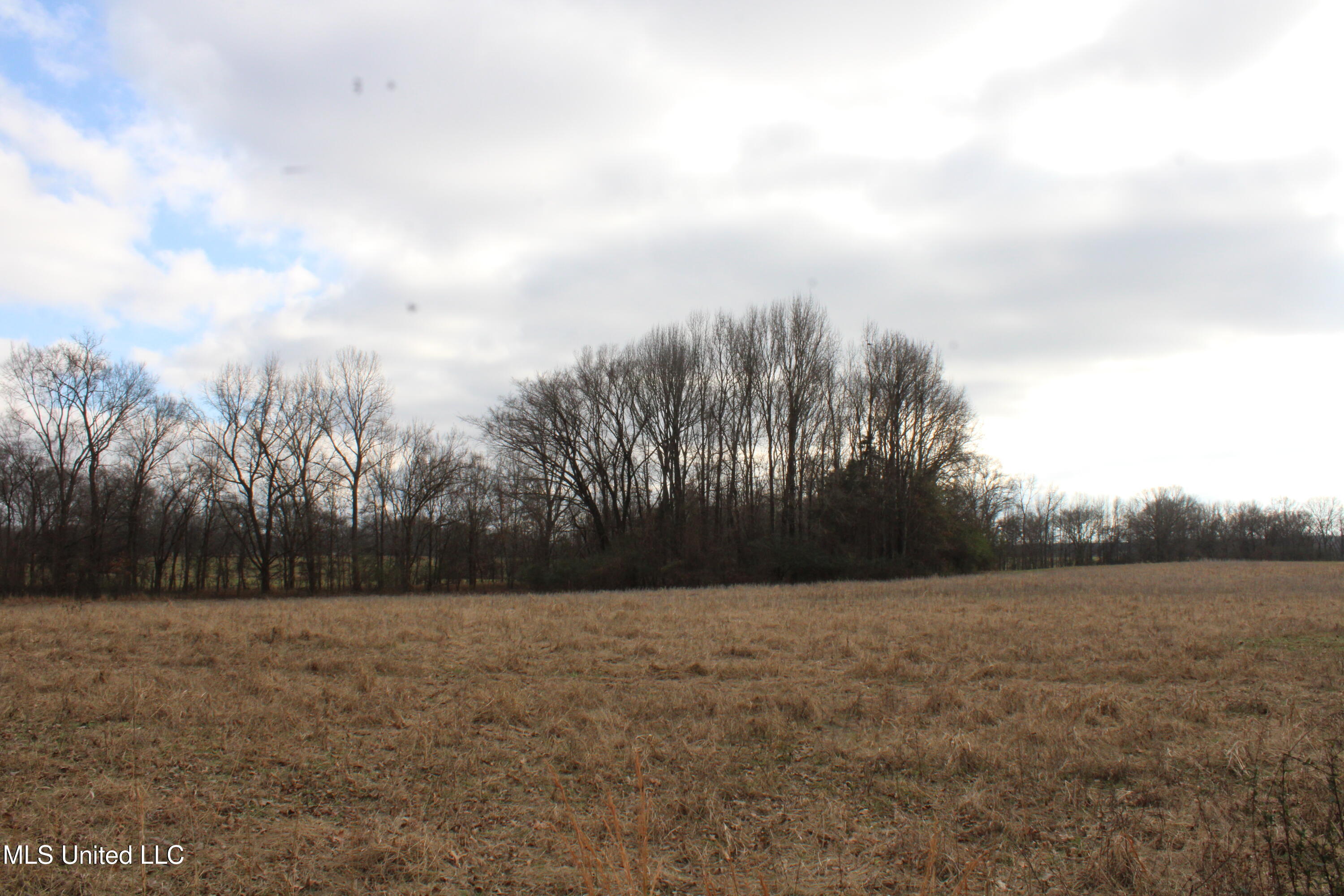 2001 W Oak Grove Road Property Photo 26