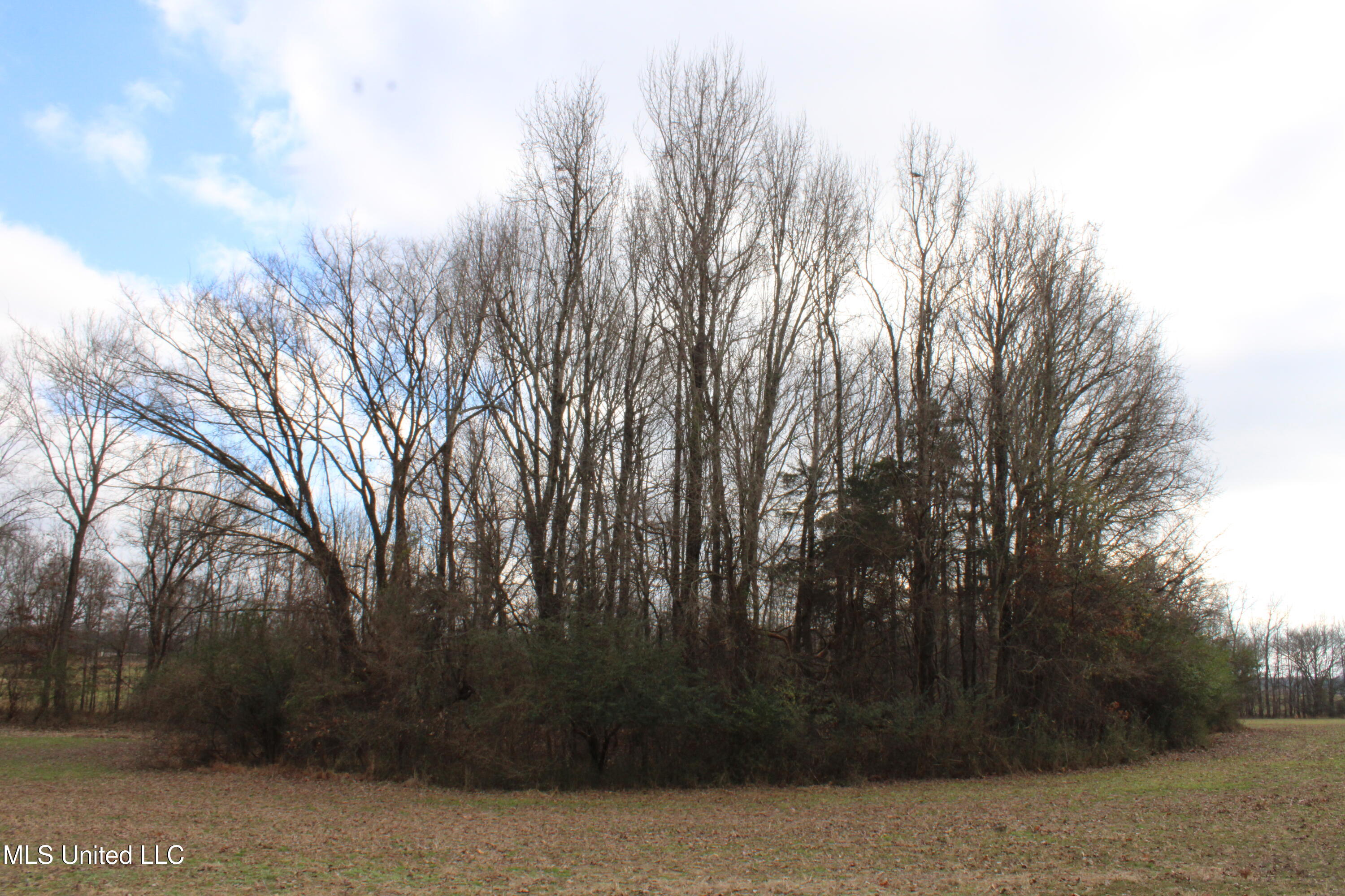 2001 W Oak Grove Road Property Photo 28