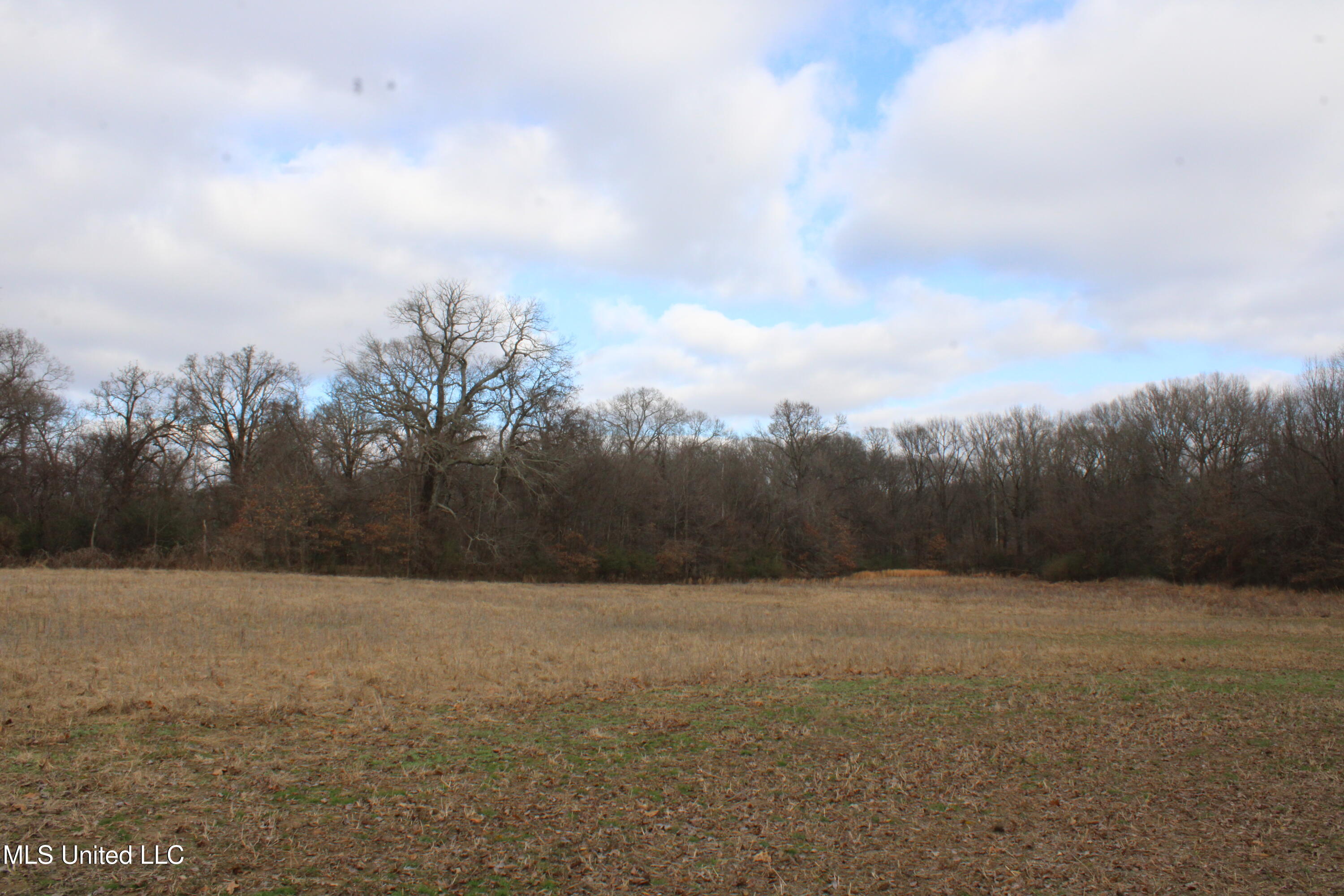 2001 W Oak Grove Road Property Photo 29