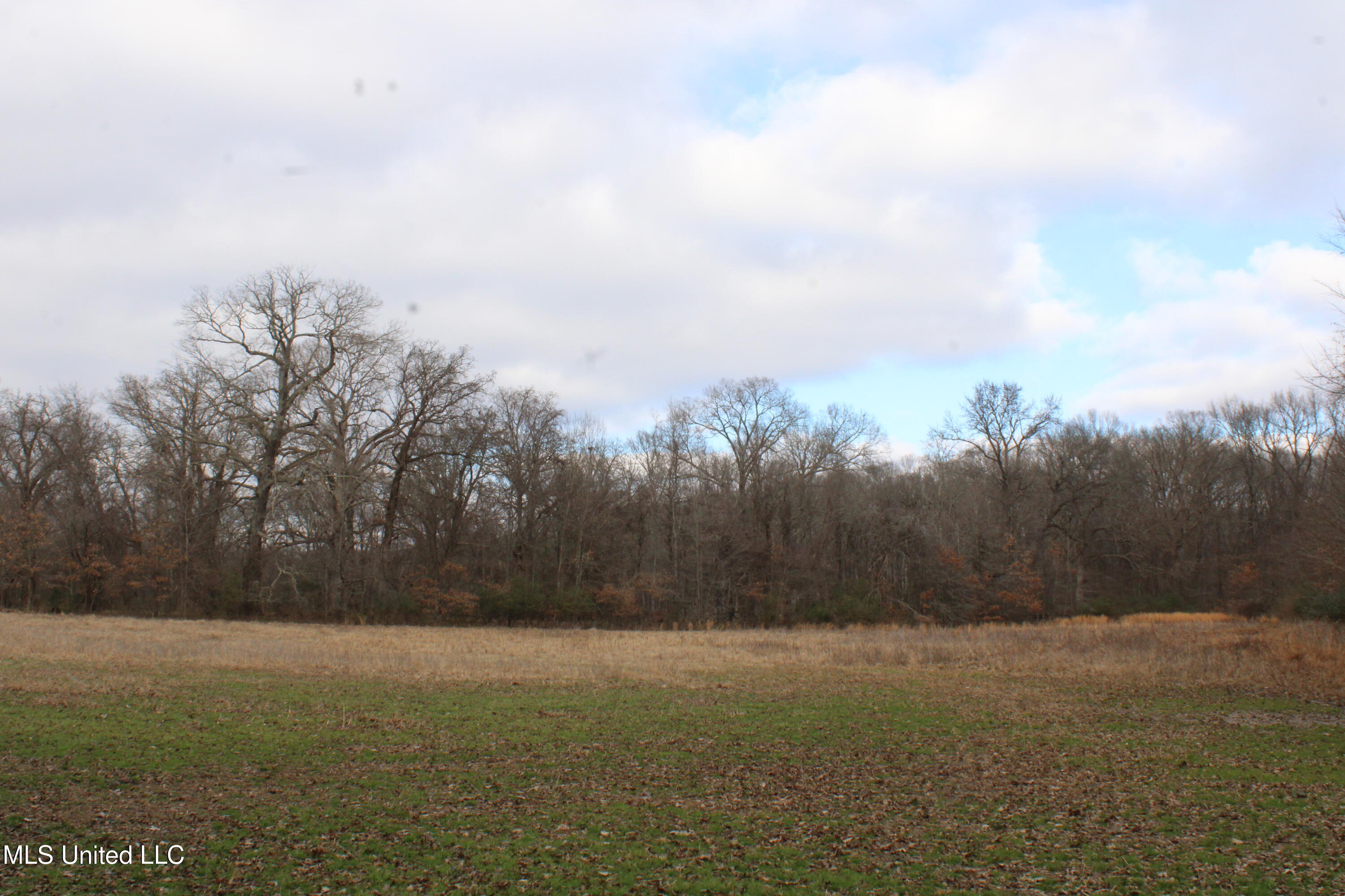 2001 W Oak Grove Road Property Photo 30