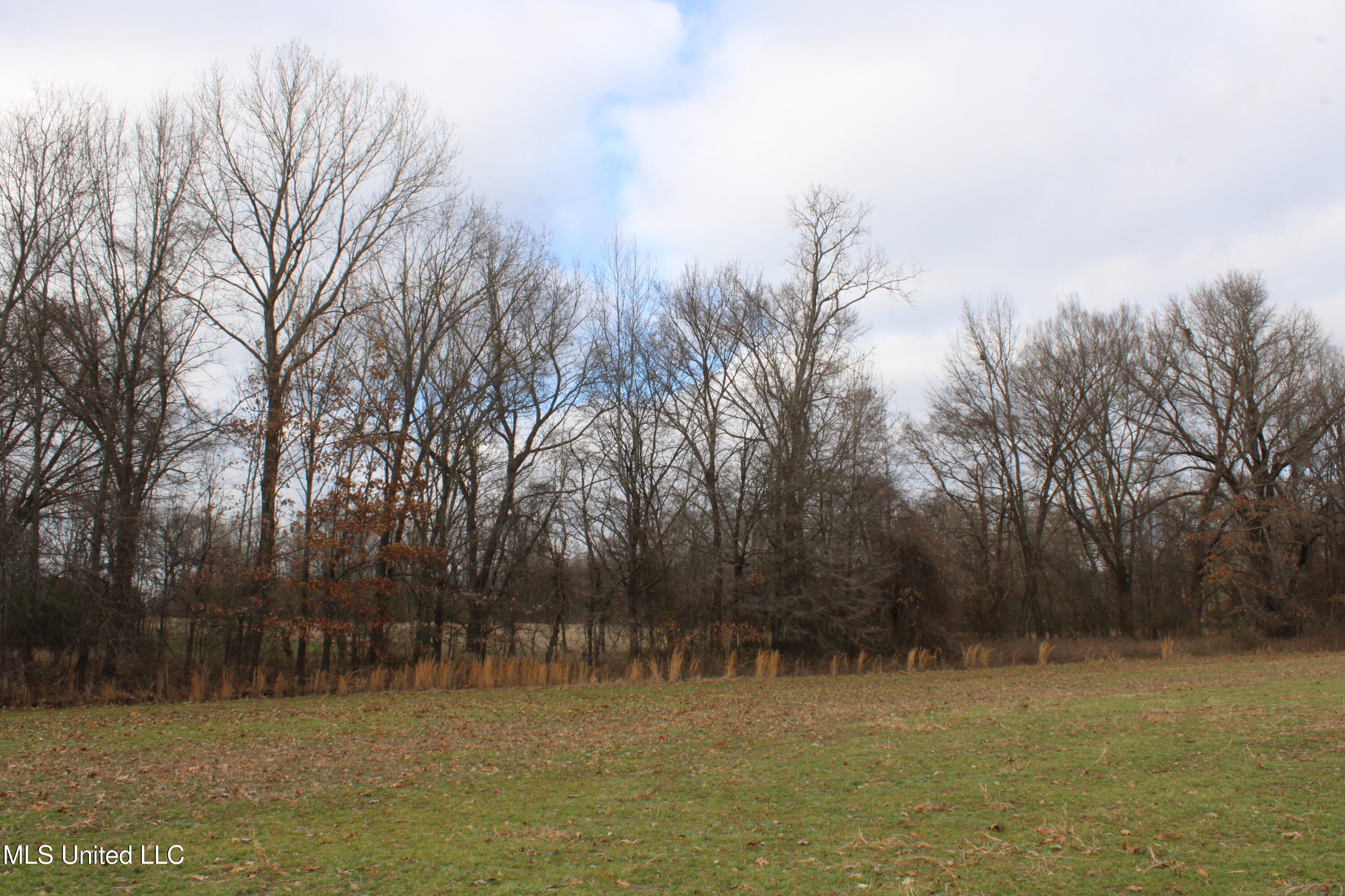 2001 W Oak Grove Road Property Photo 32