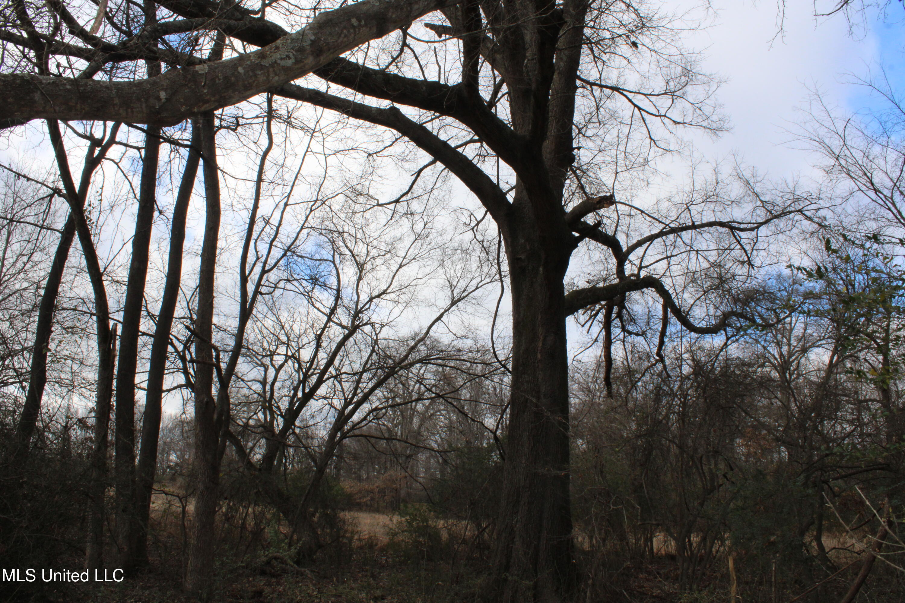 2001 W Oak Grove Road Property Photo 36
