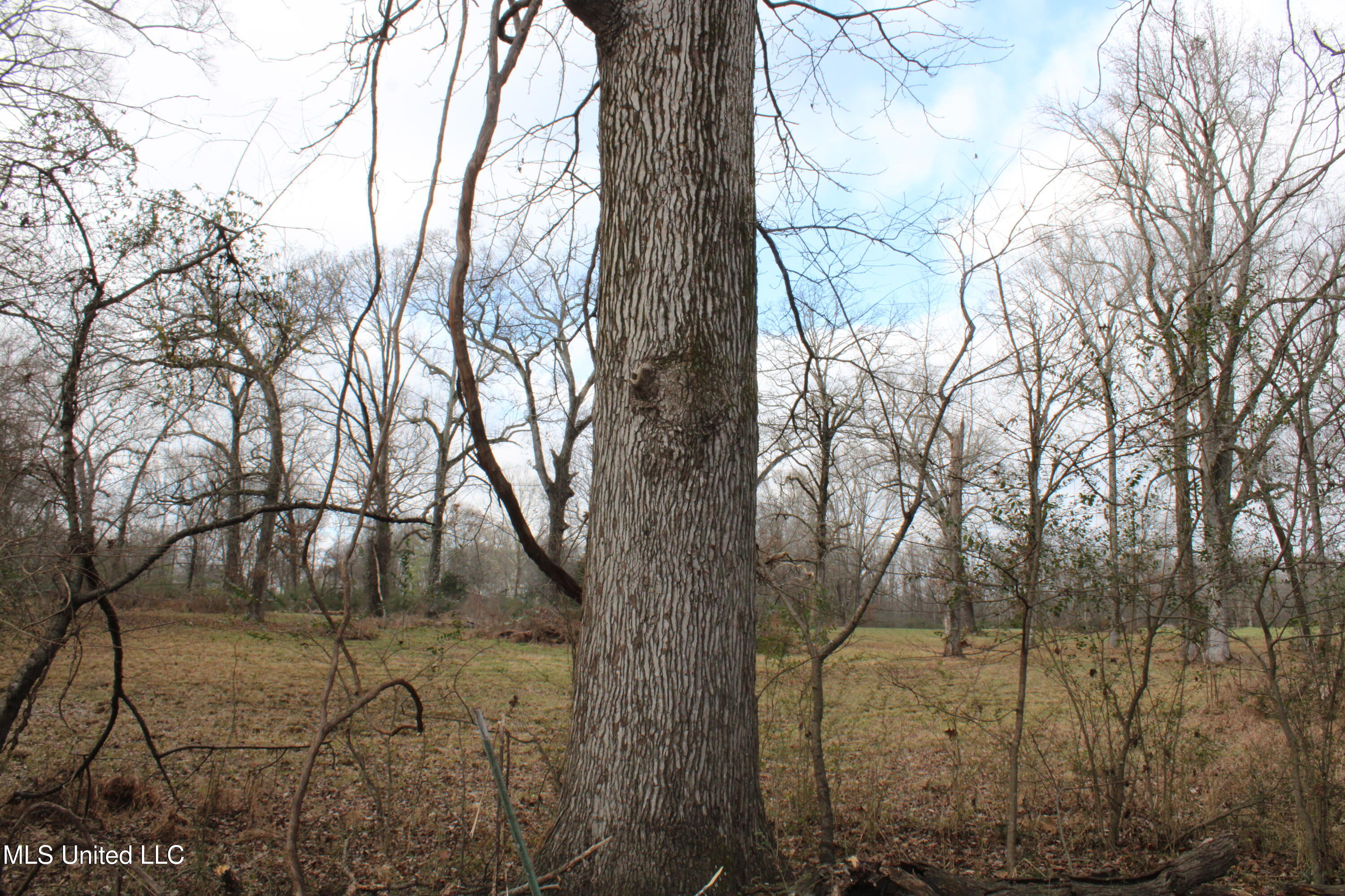 2001 W Oak Grove Road Property Photo 39