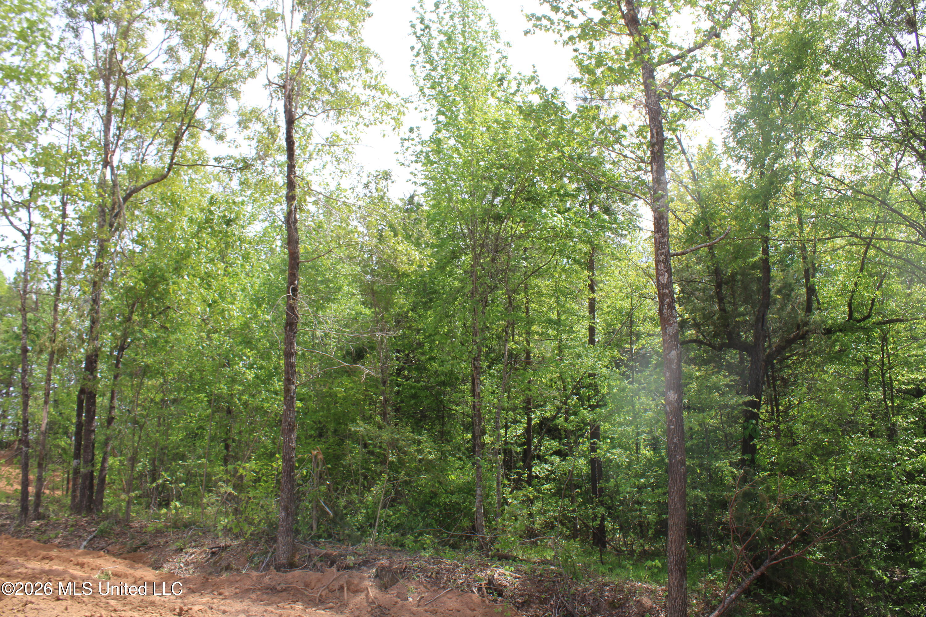 13000 Highway 72 Property Photo 20
