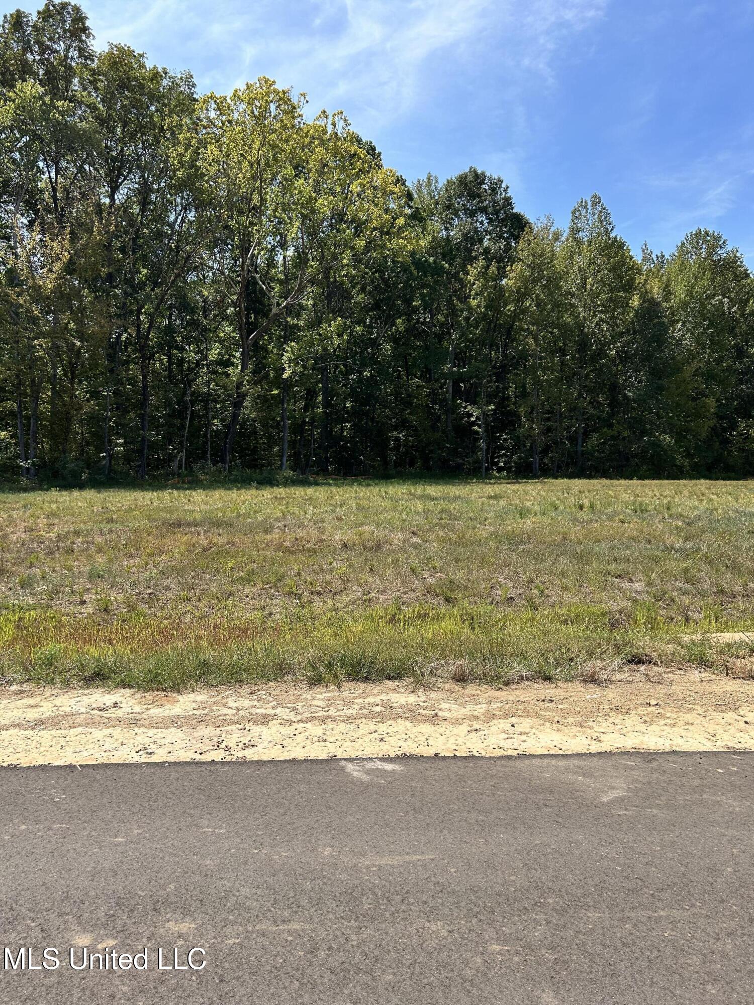 2 Pebble View Drive Property Photo 1