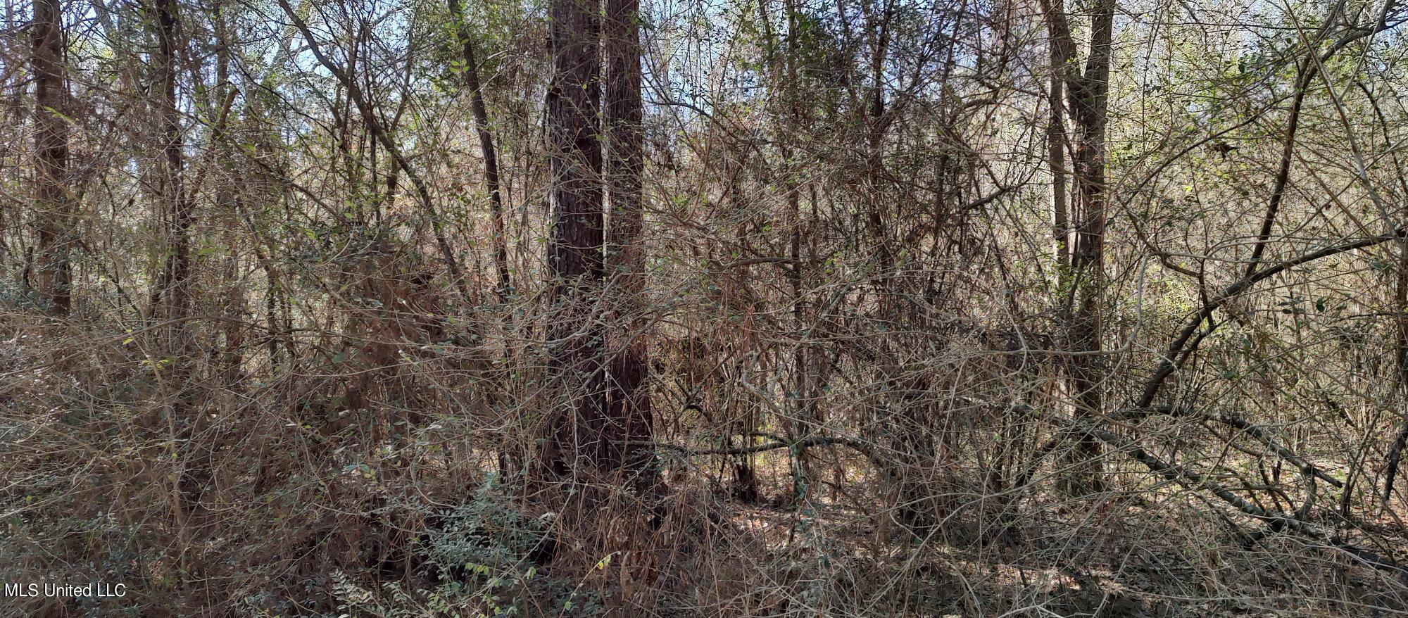 No Pecan Drive Property Photo 1