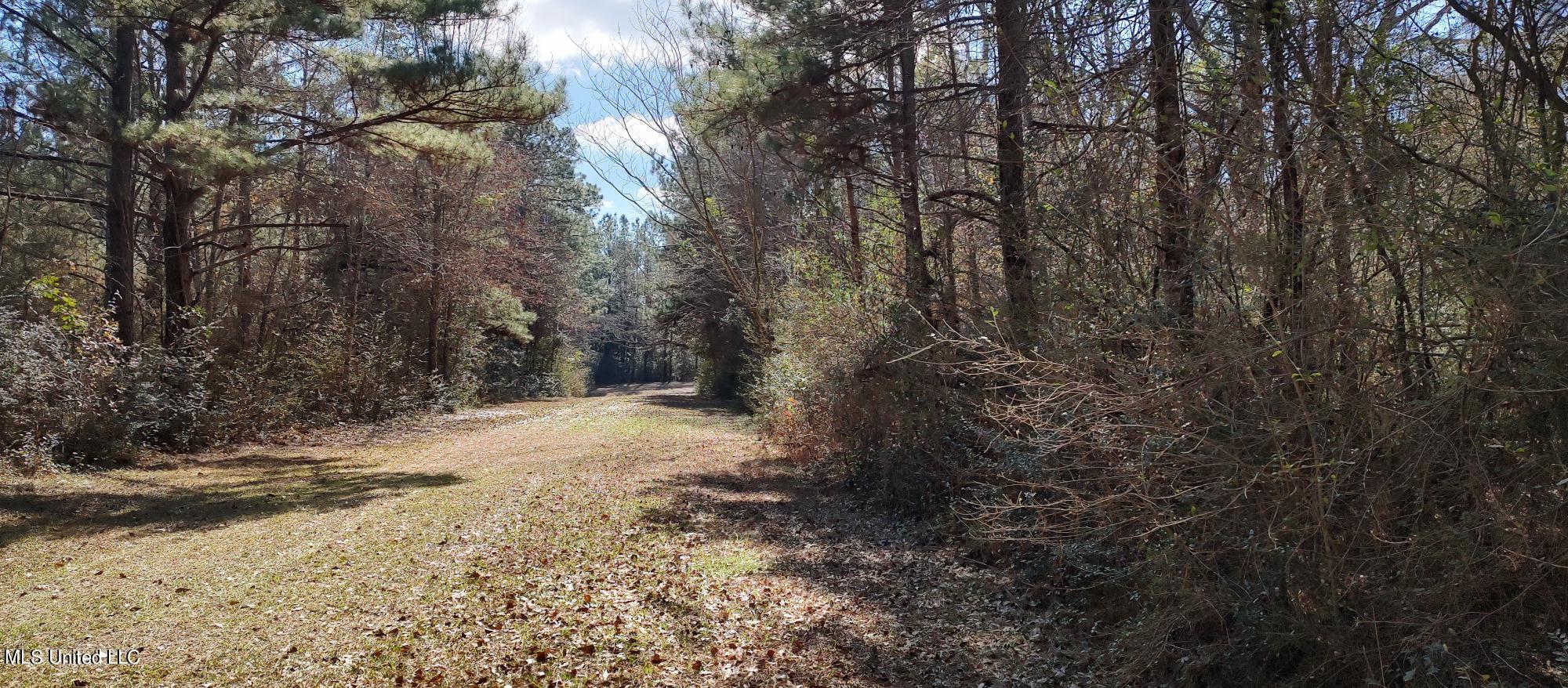 No Pecan Drive Property Photo 2