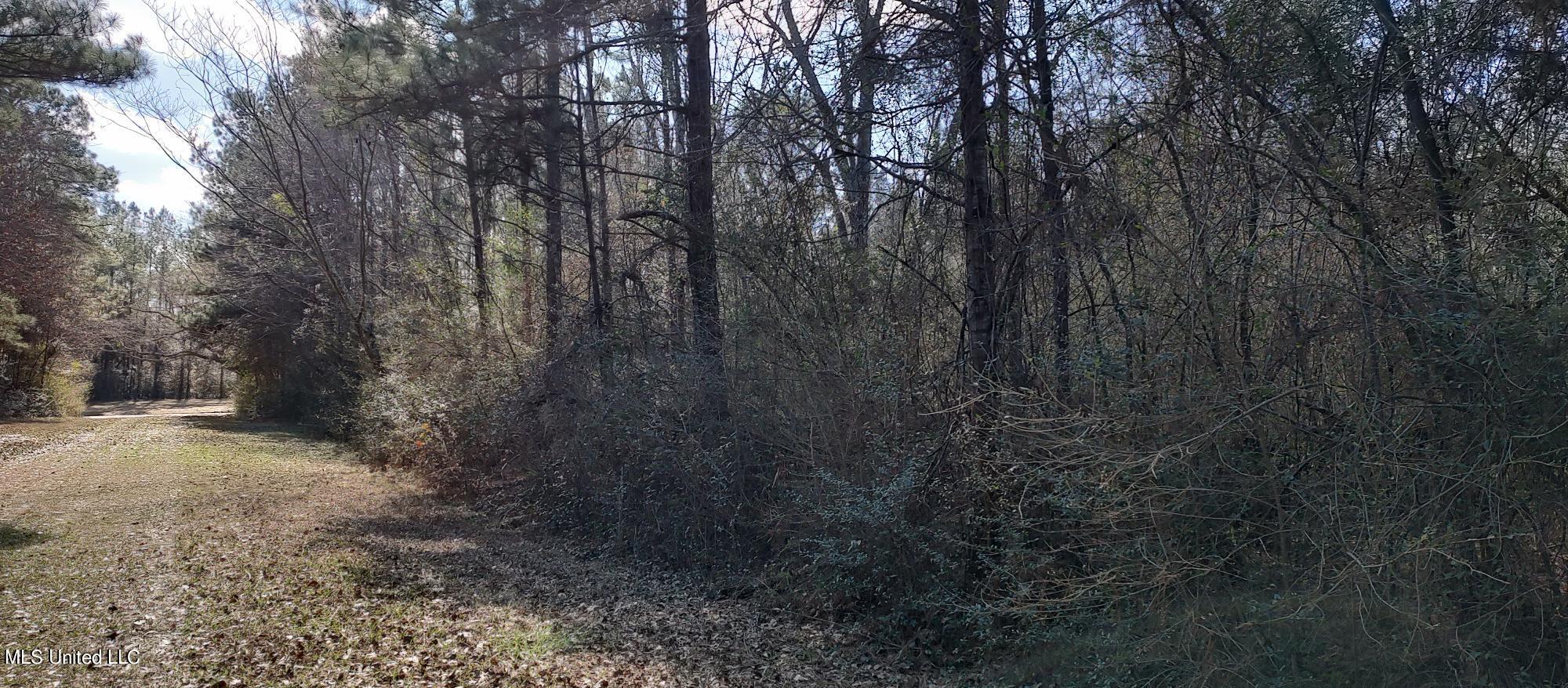 No Pecan Drive Property Photo 3