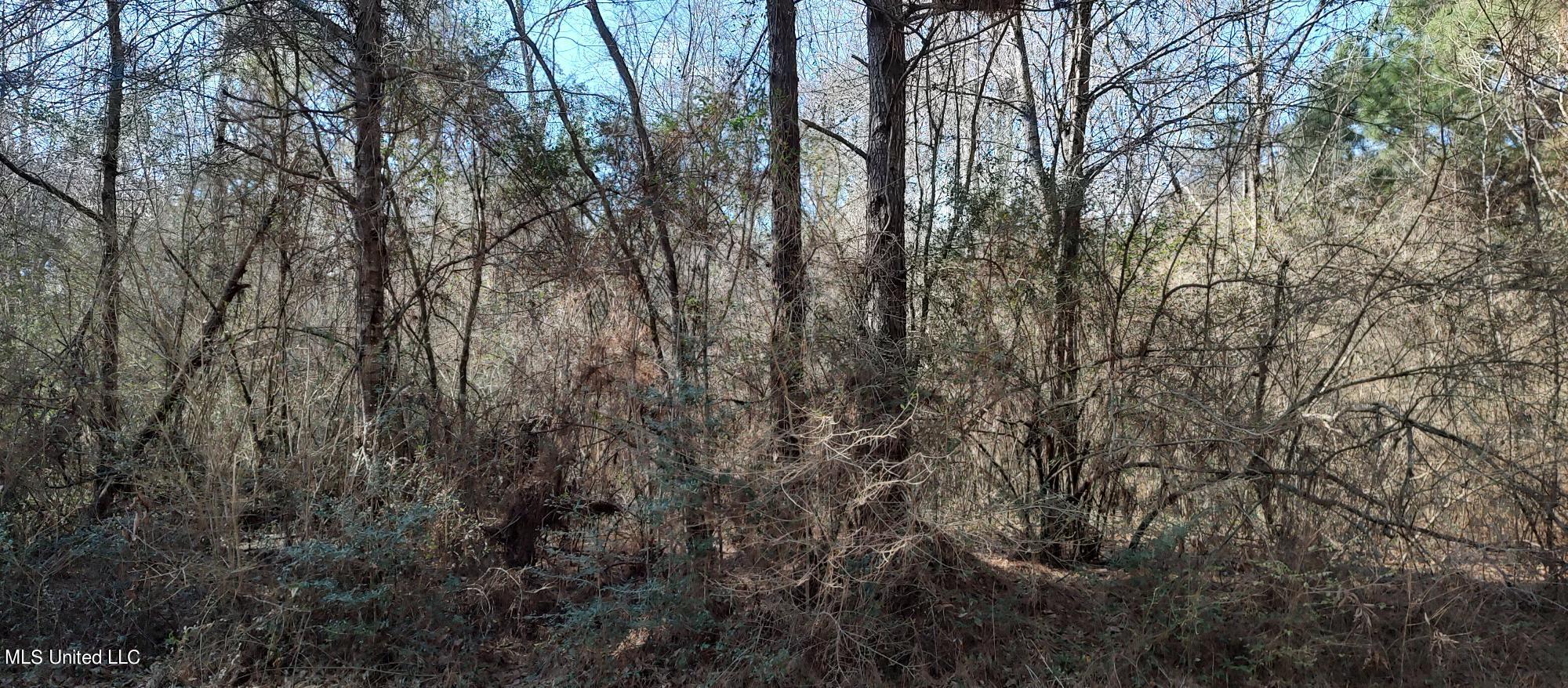 No Pecan Drive Property Photo 4