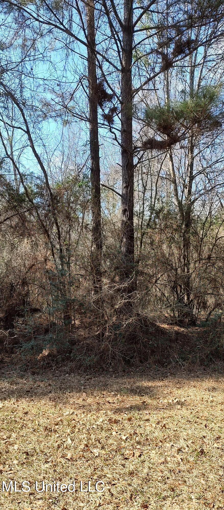 No Pecan Drive Property Photo 5