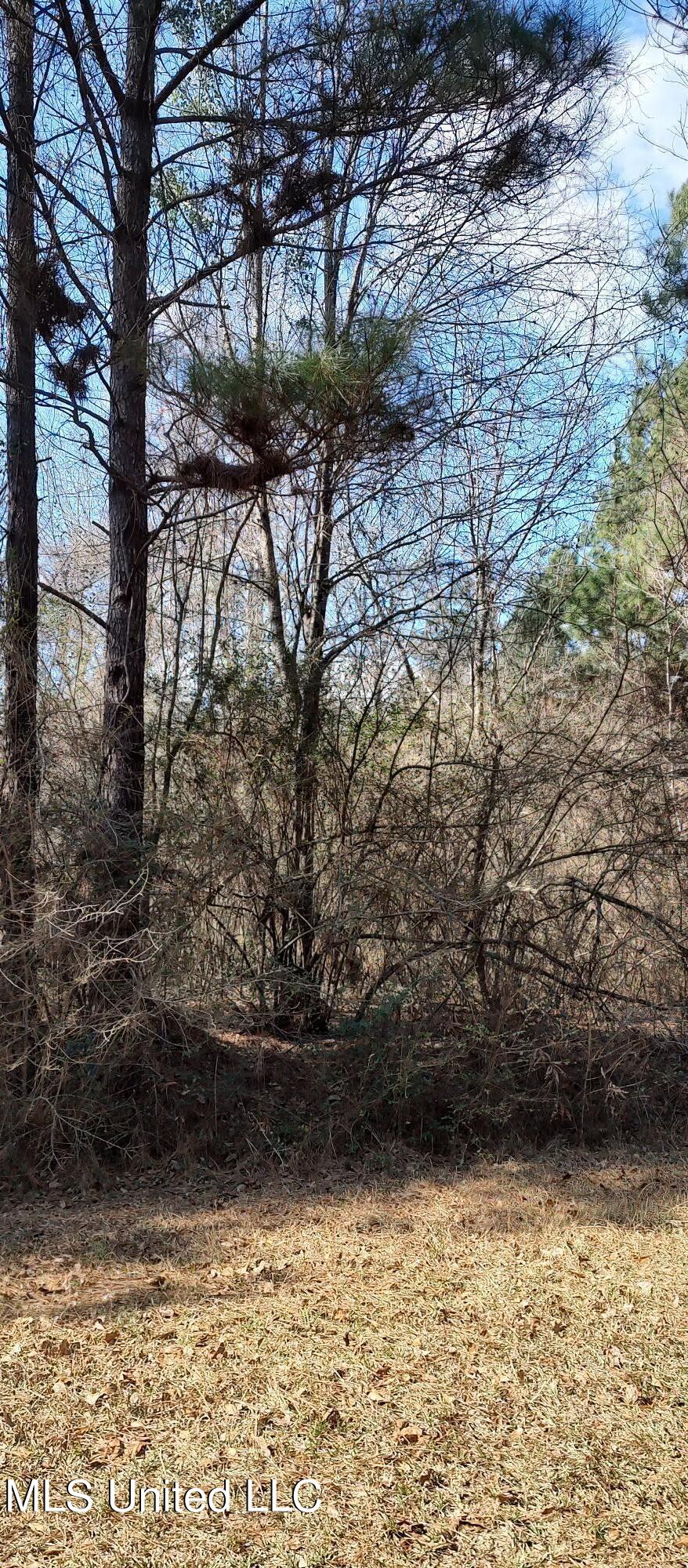 No Pecan Drive Property Photo 6