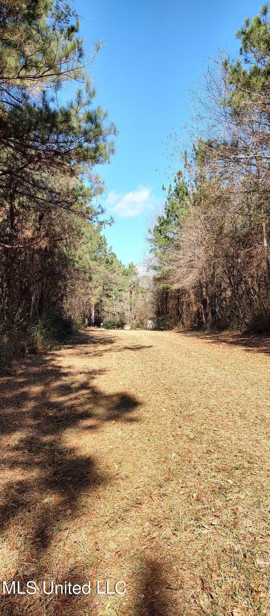 No Pecan Drive Property Photo 7