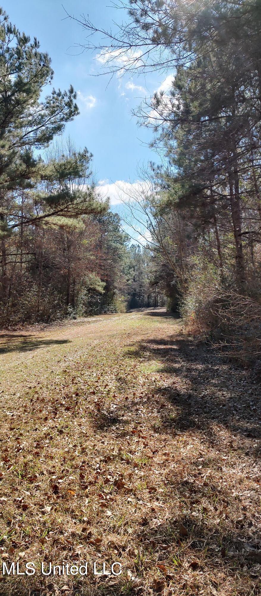 No Pecan Drive Property Photo 8