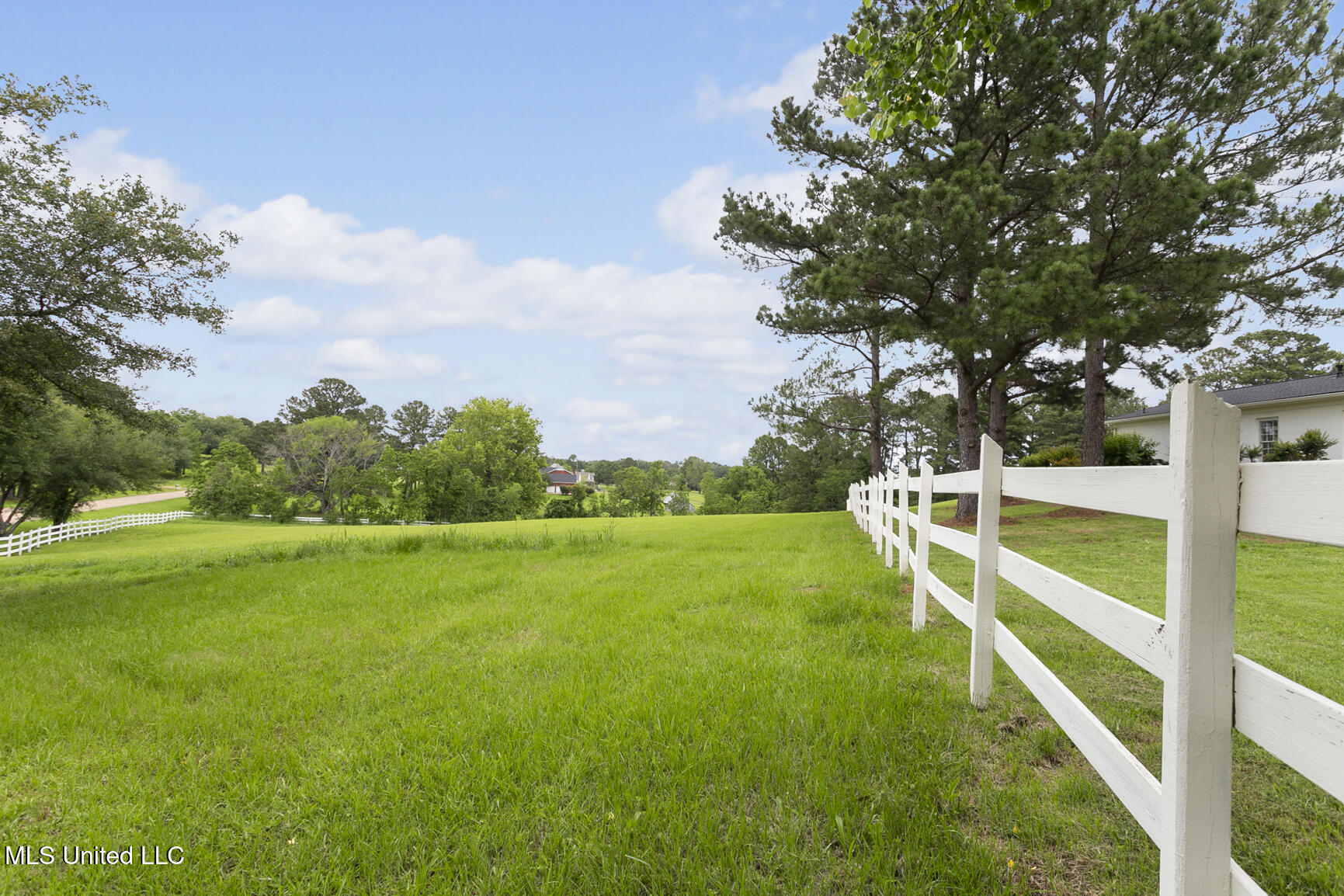 8 Twelve Oaks Place Property Photo 51