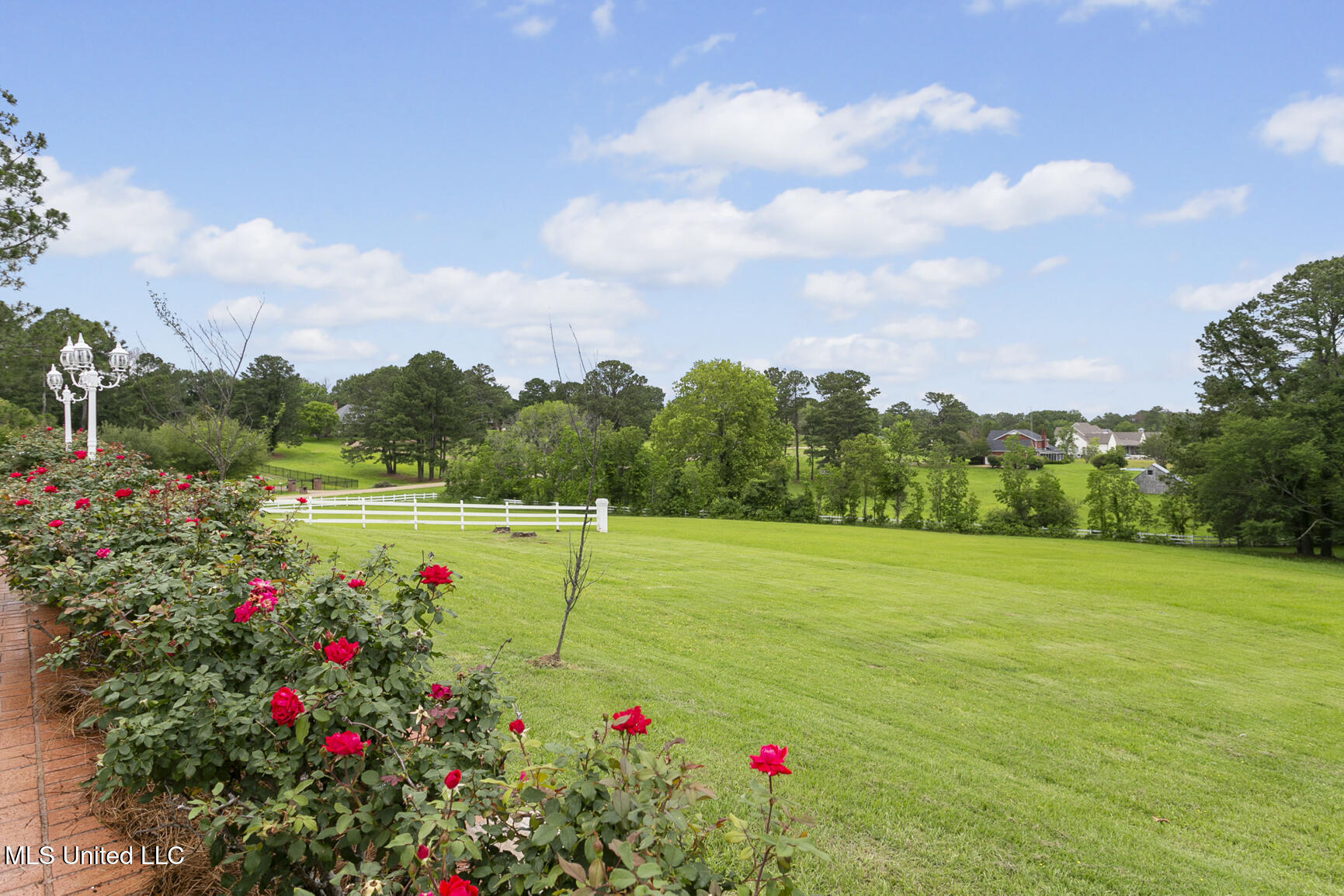 8 Twelve Oaks Place Property Photo 54